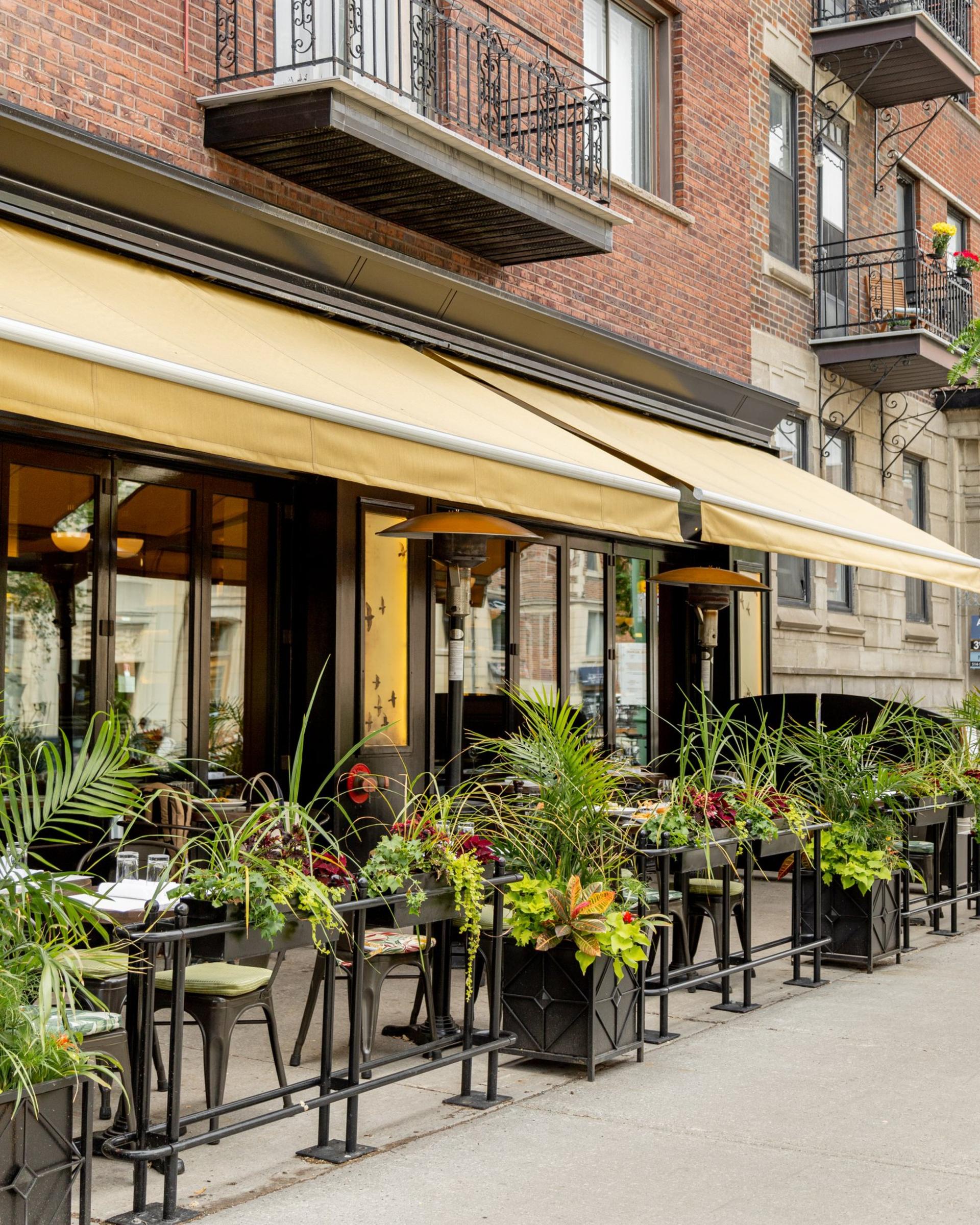 The Summer Terrace
