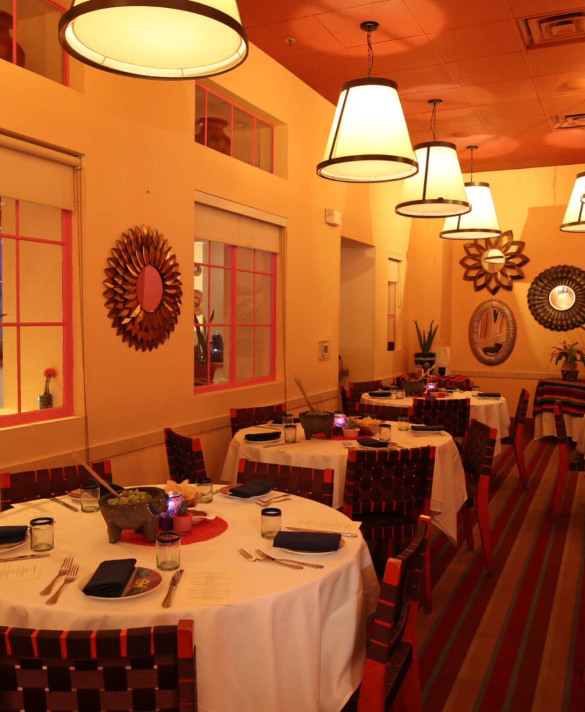 Cactus Room Plus