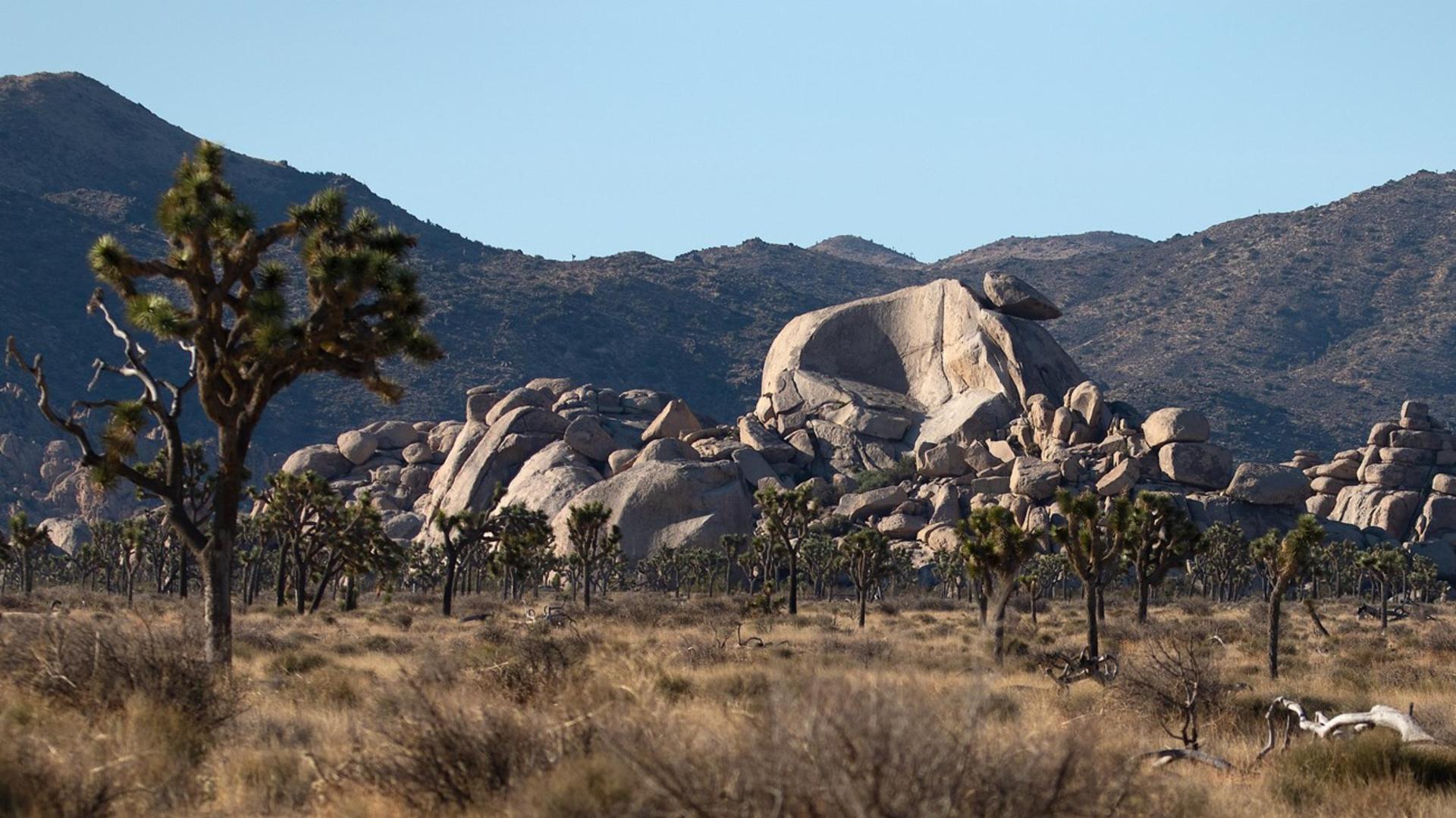 Cap Rock