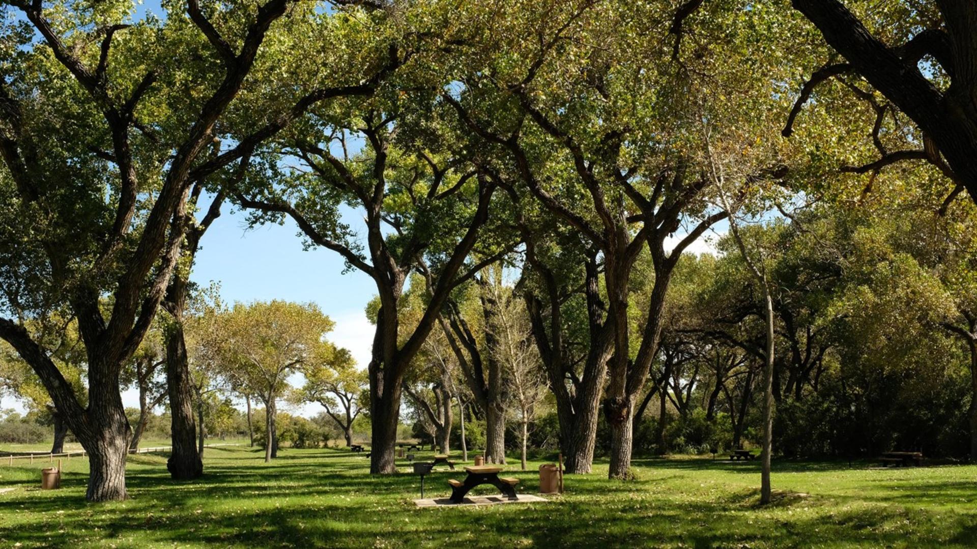 Rattlesnake Picnic Area