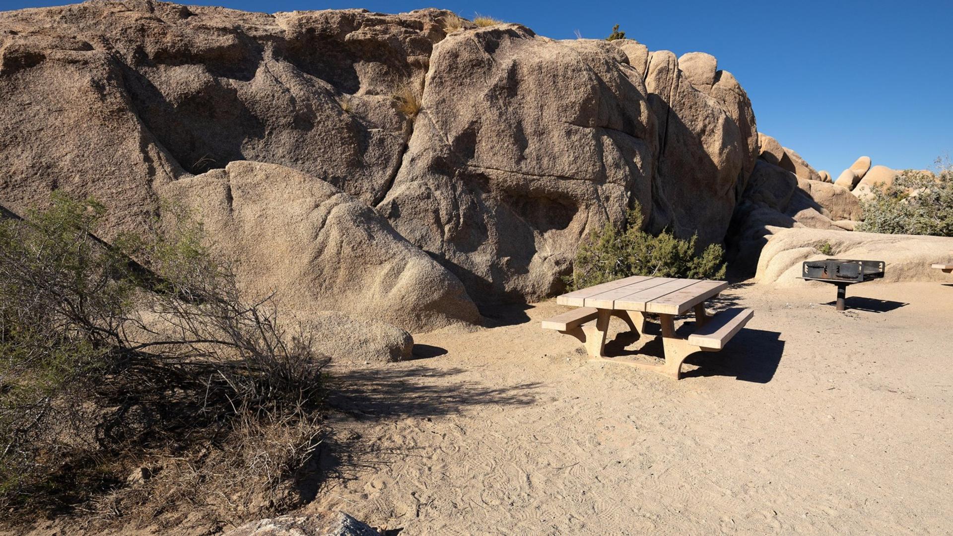 Live Oak Picnic Area
