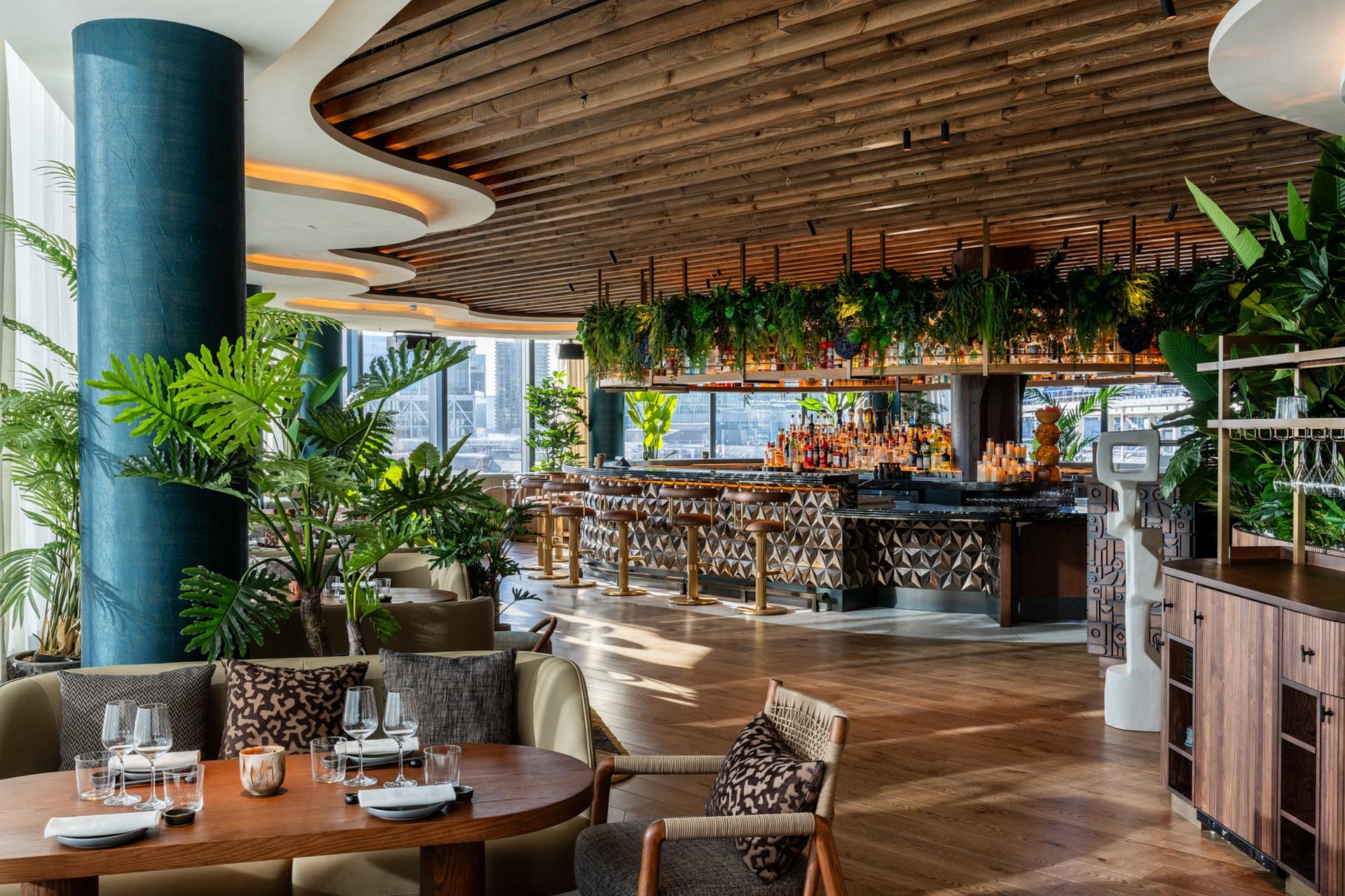 Agaveria & Lounge