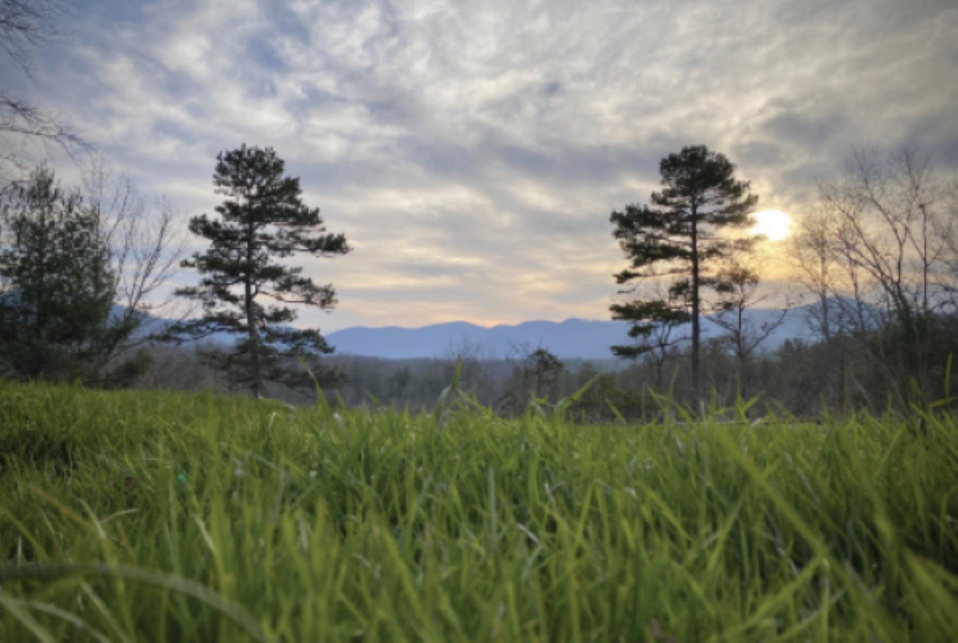 Watershed Outlook