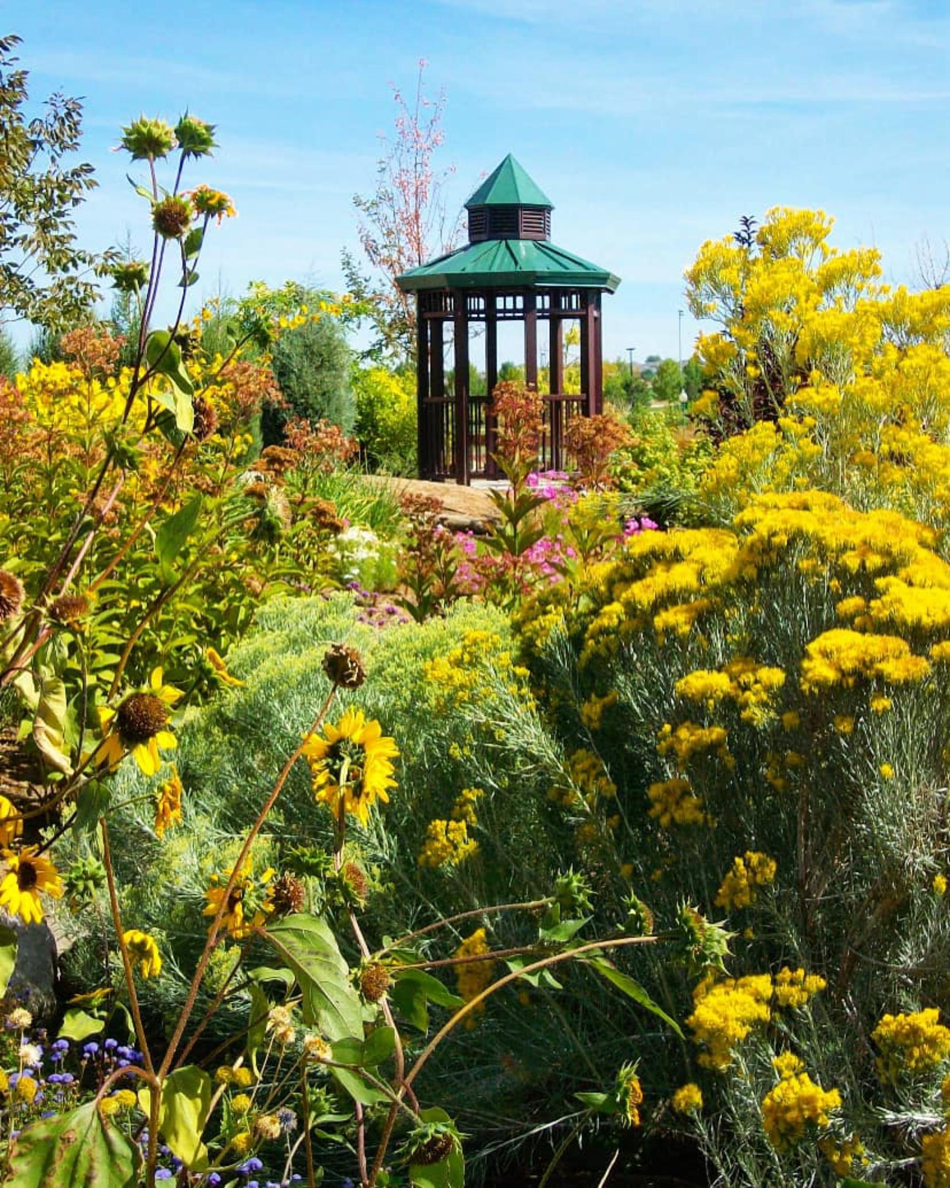 Discovery Gardens