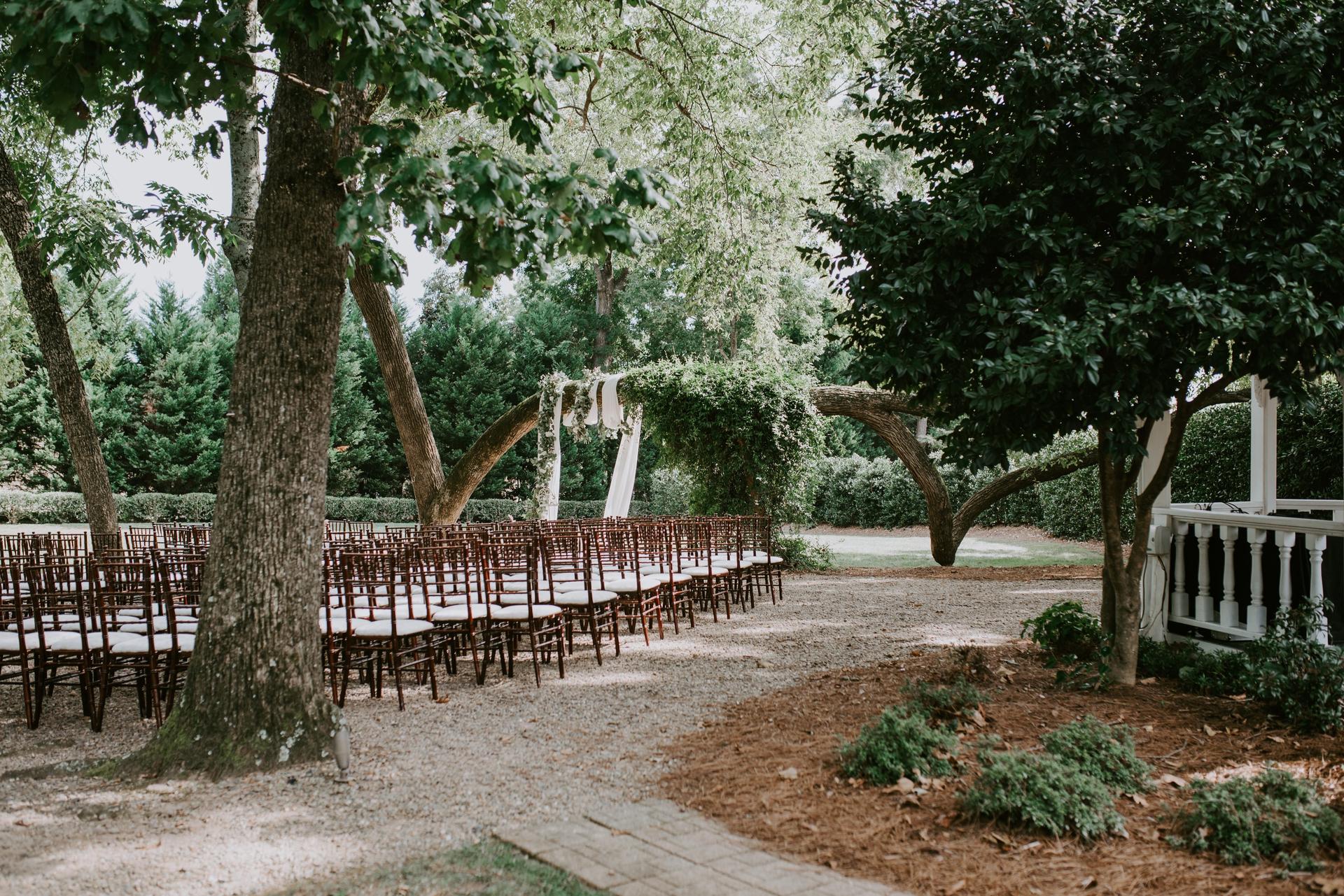 Patio and Garden
