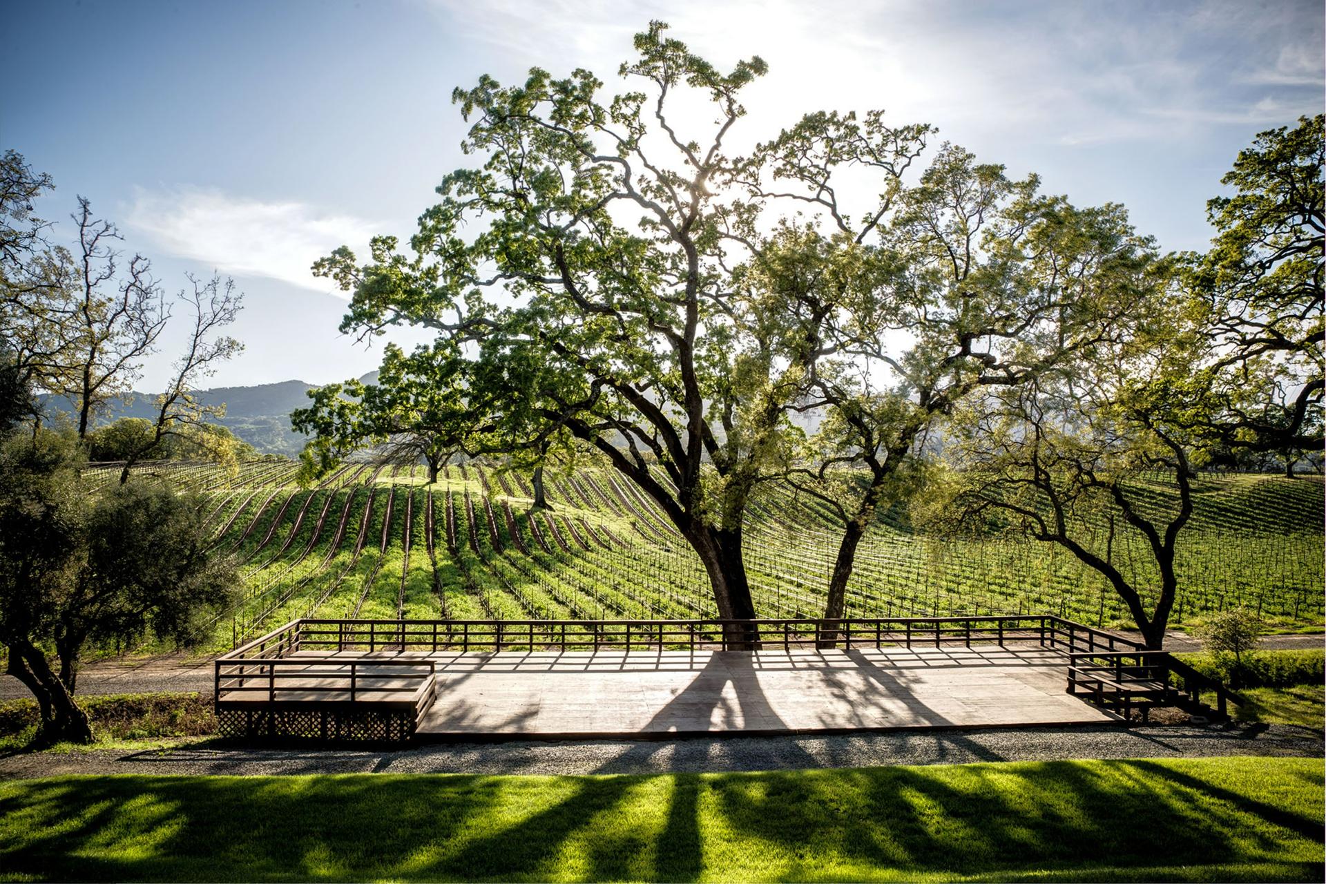 Amphitheater