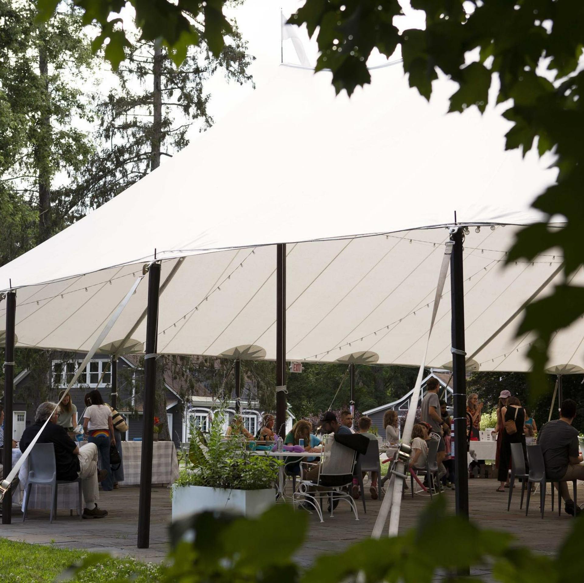 Bluestone Patio & Lawn