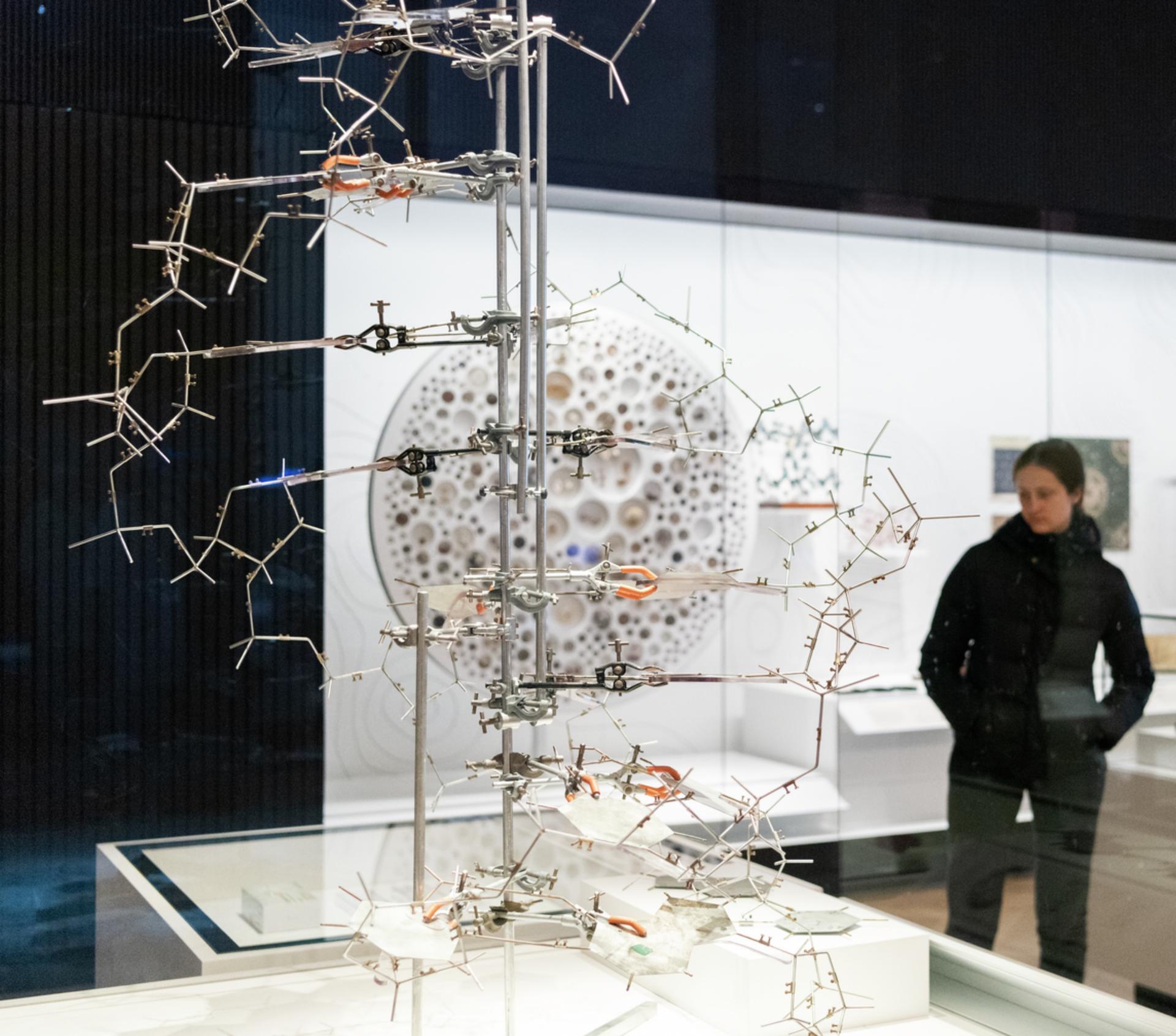 Medicine: The Wellcome Galleries