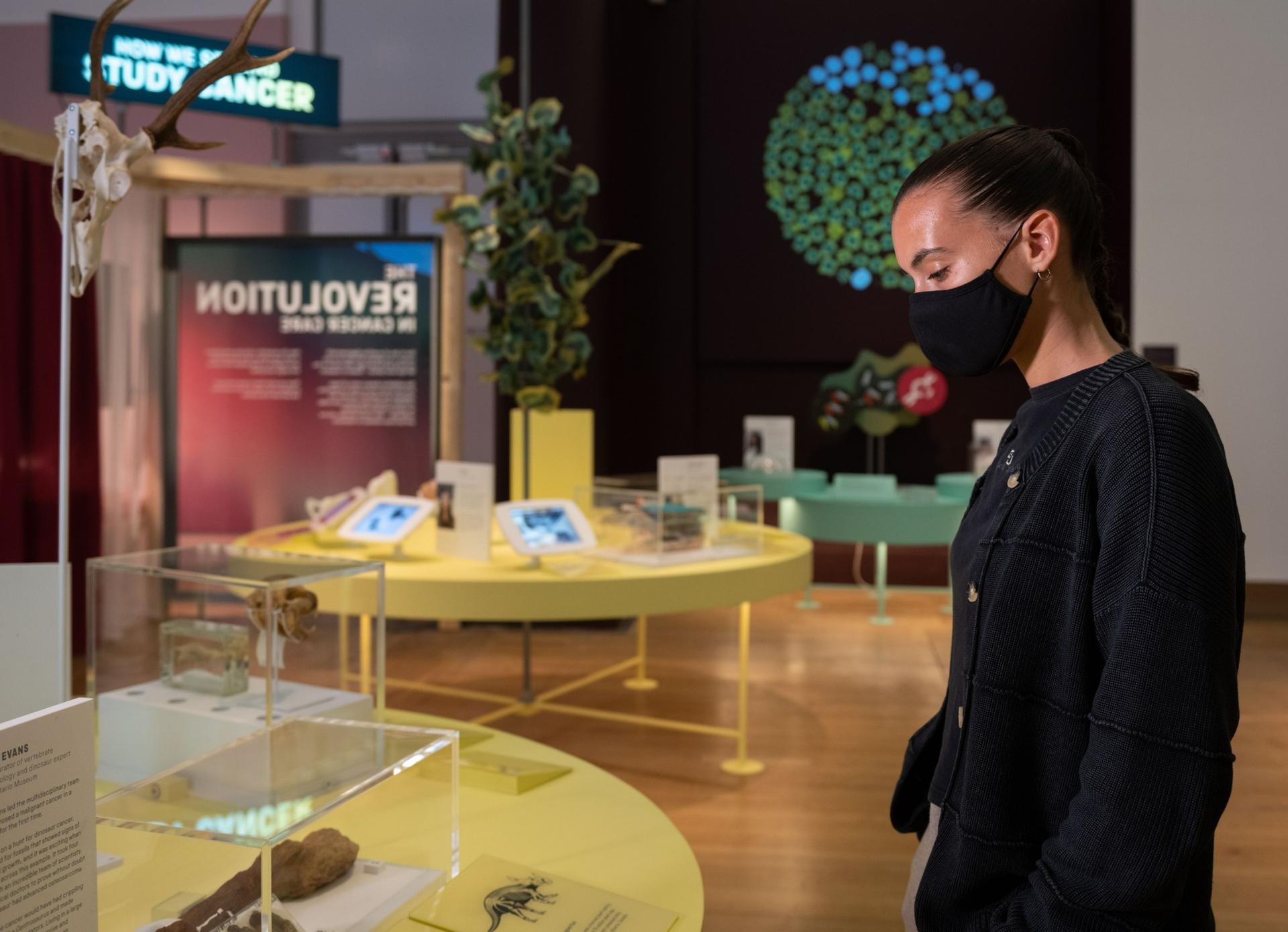 Wonderlab: The Equinor Gallery