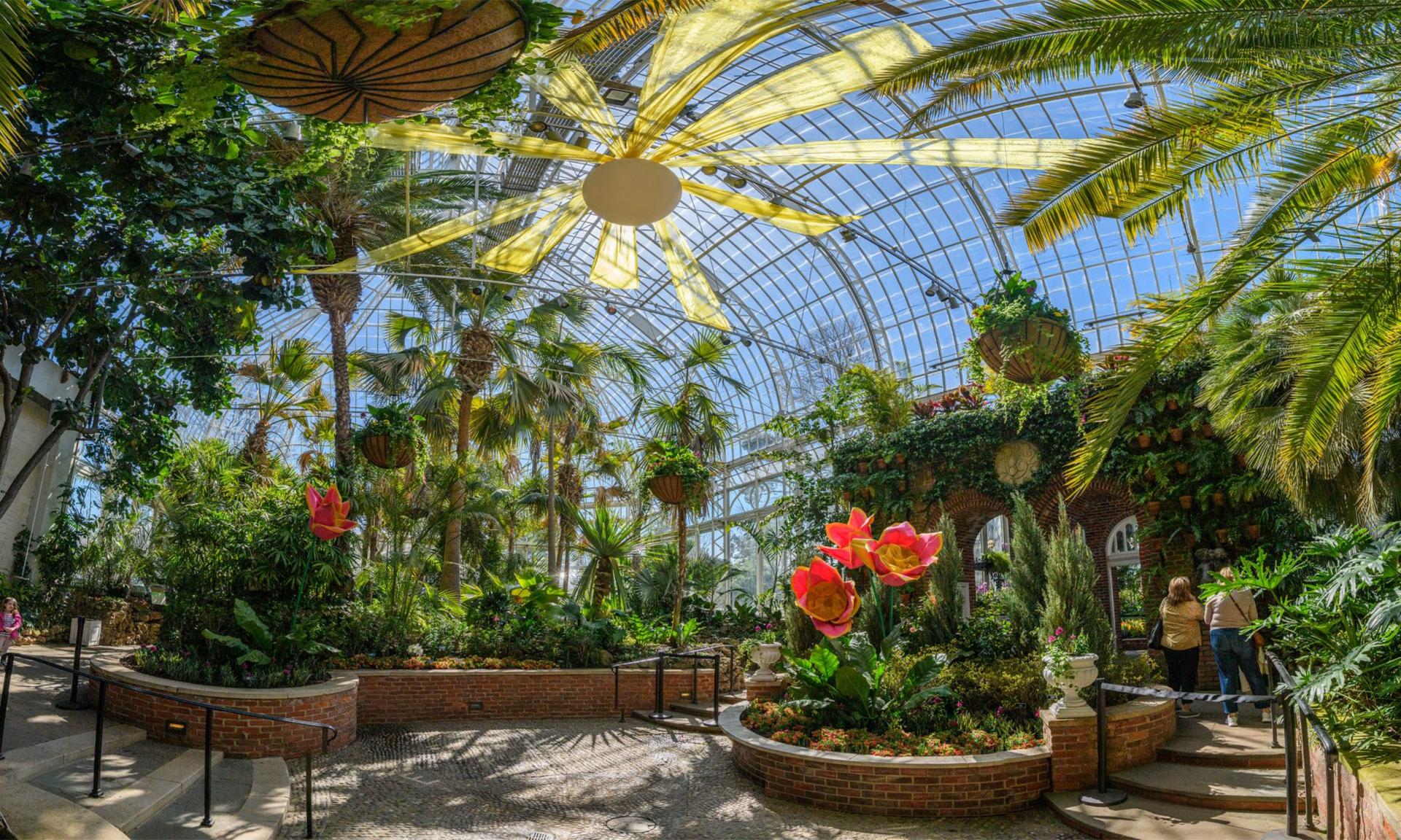 Palm Court
