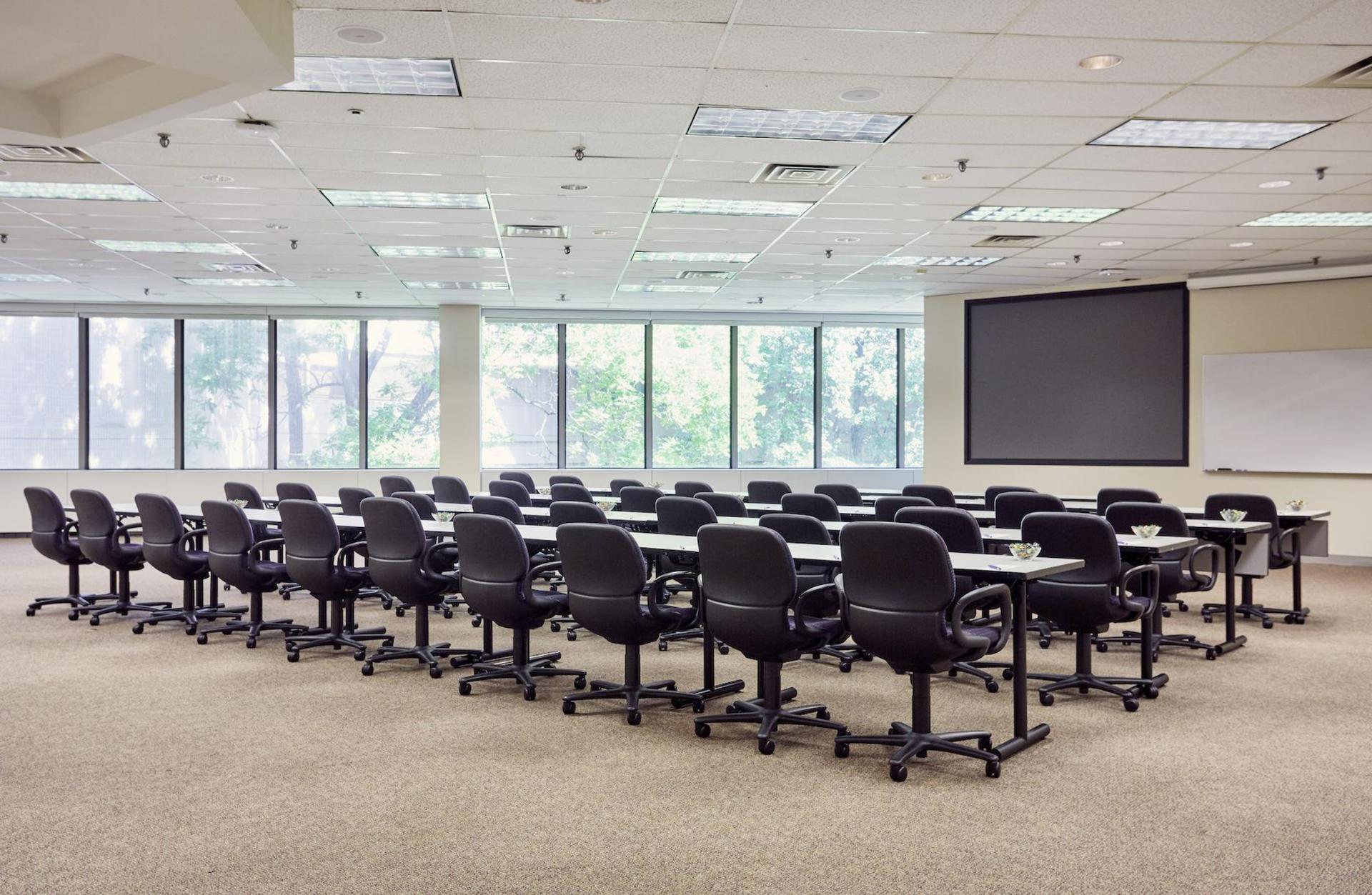 Large Classroom (L)
