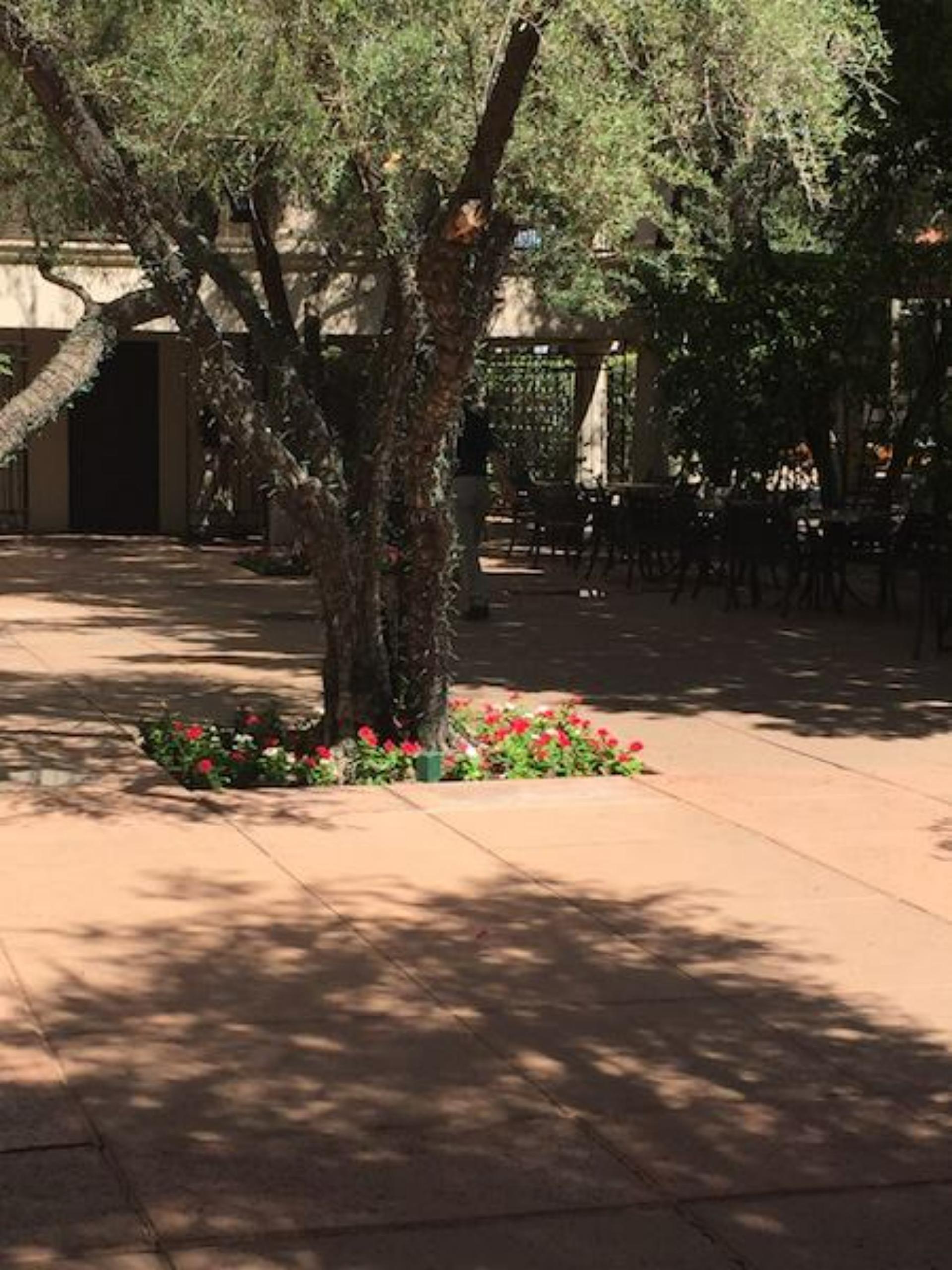 Garden Court