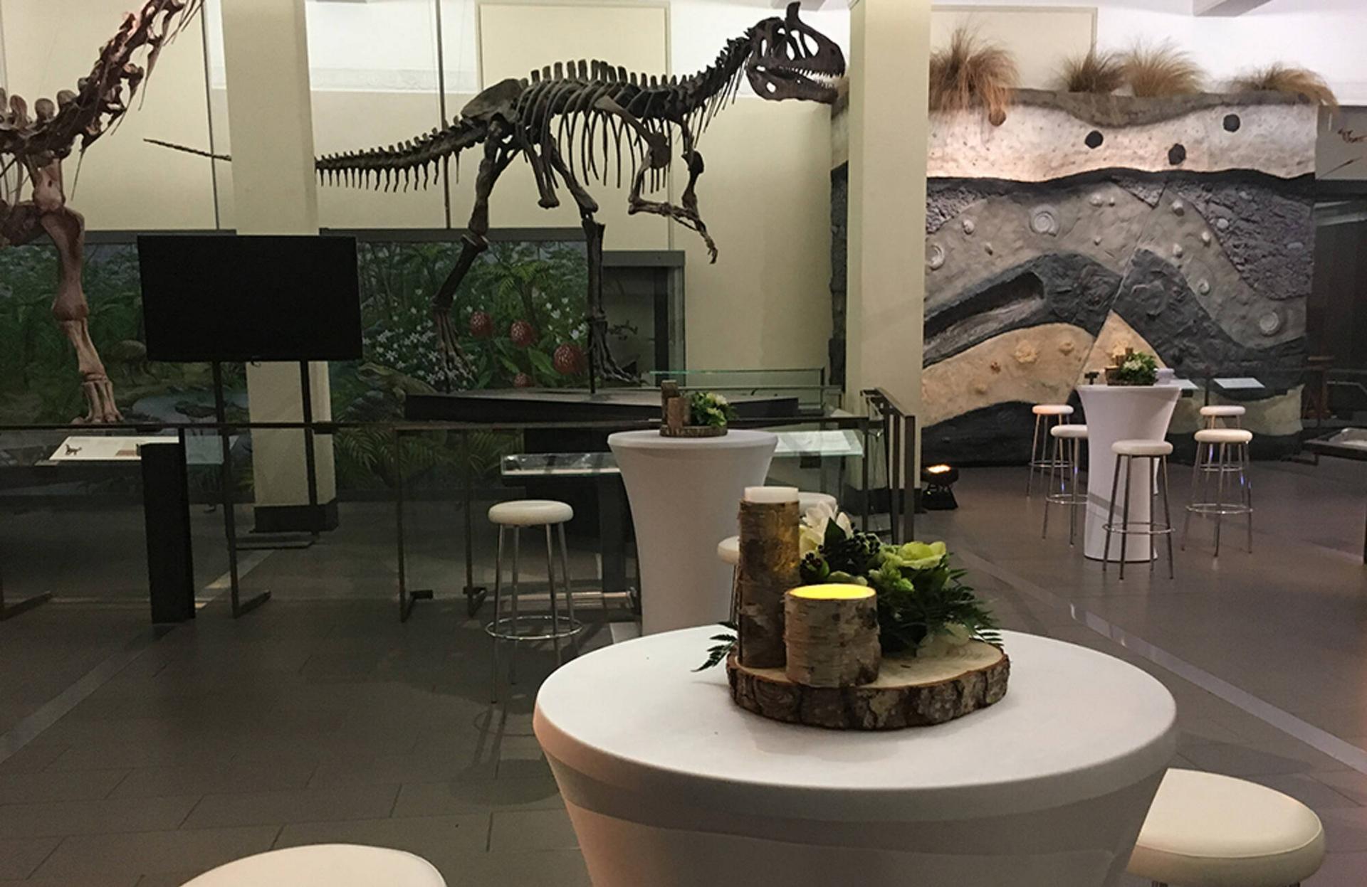 Origins Gallery