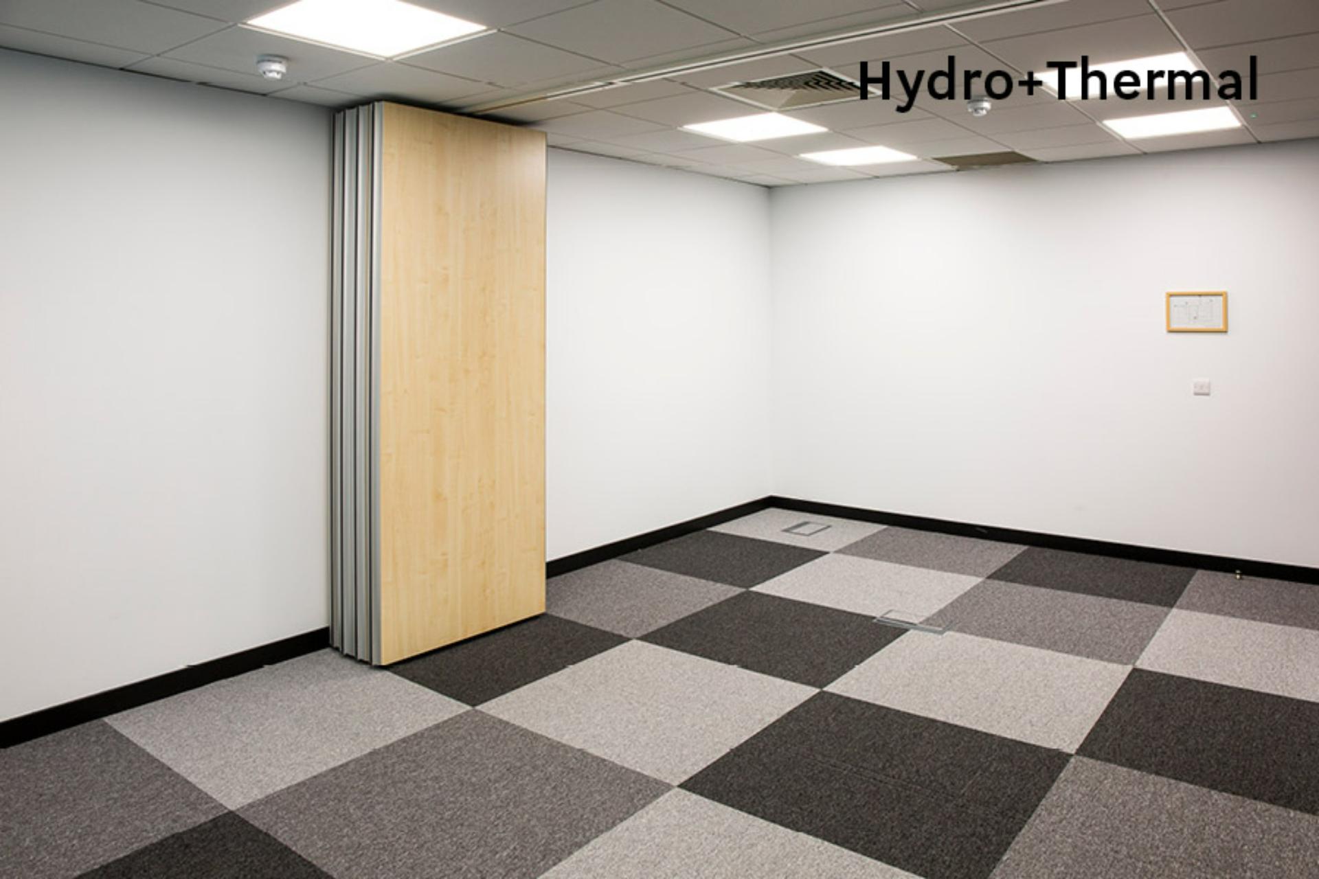 Hydro + Thermal