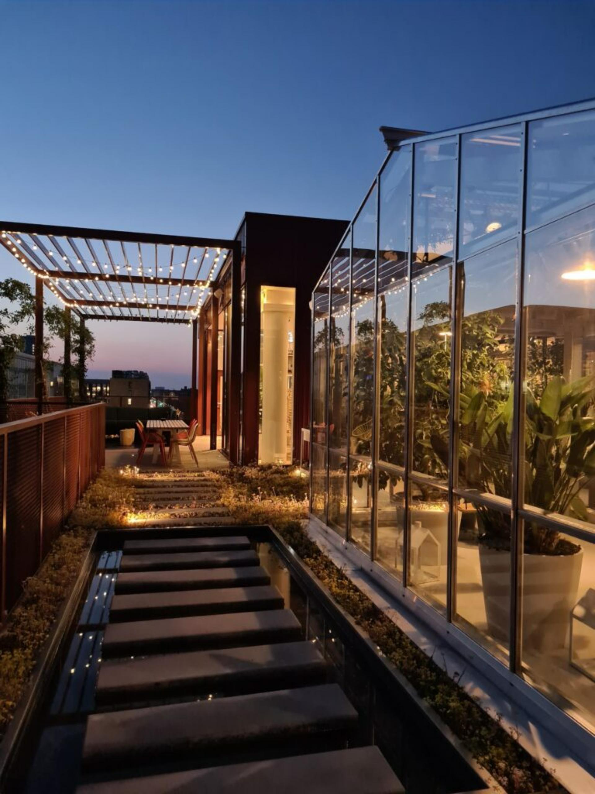 Back Terrace