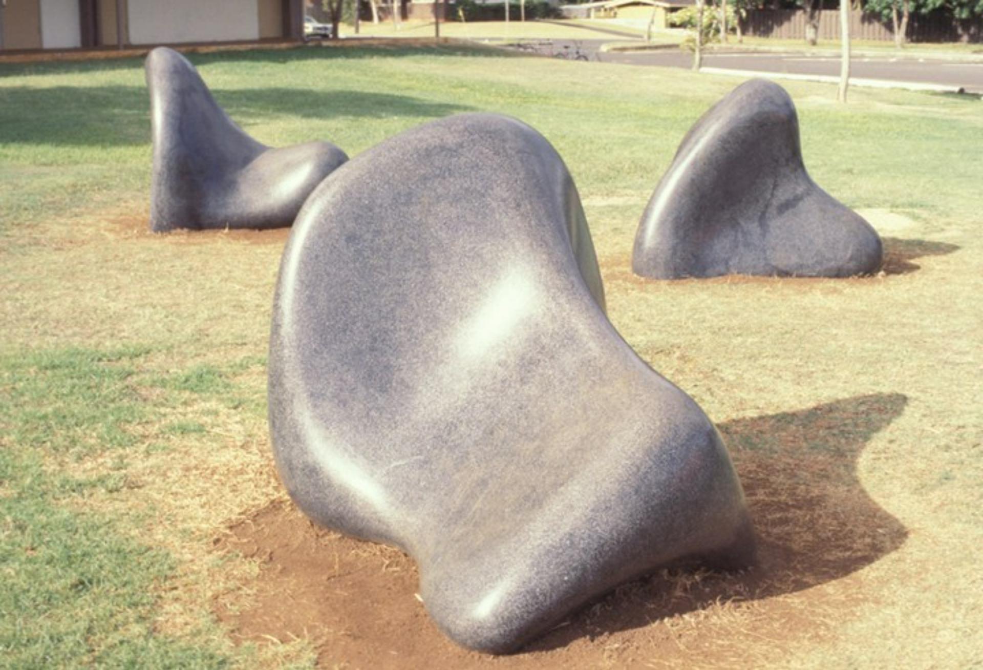 Front Lawn