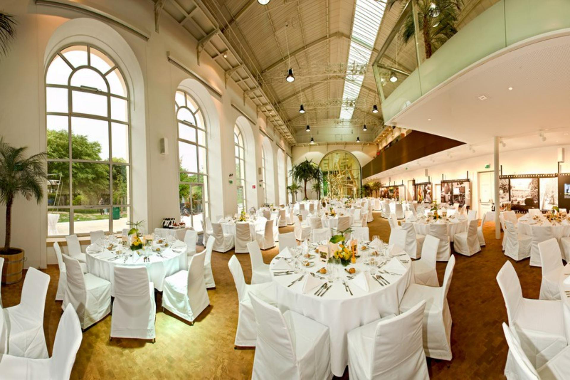 Full Buyout of Schönbrunn Zoo