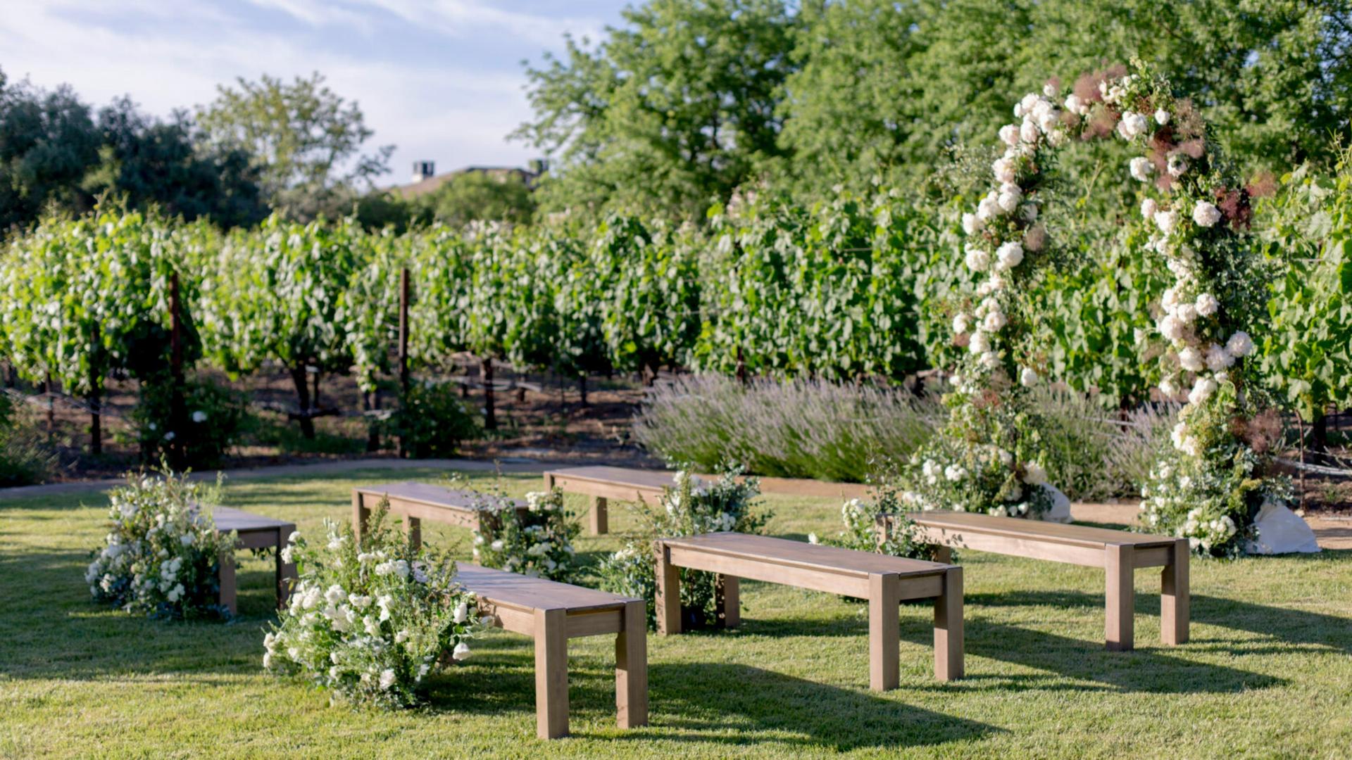 The Vineyard