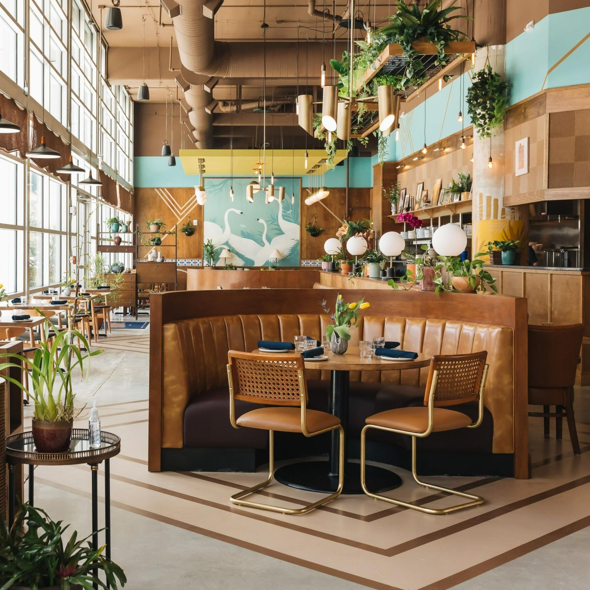 Full Buyout of The Monroe