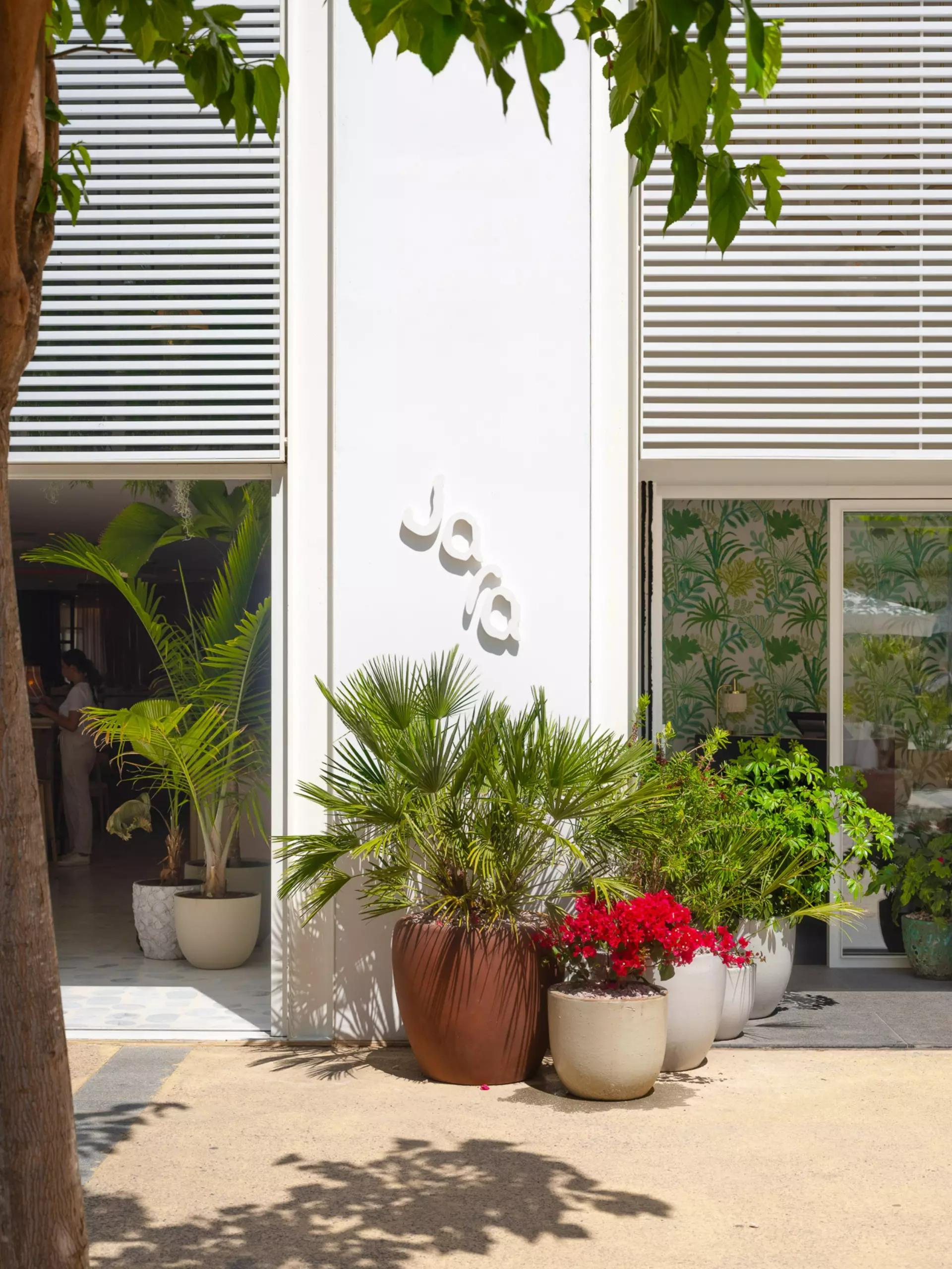Jara Terrace 