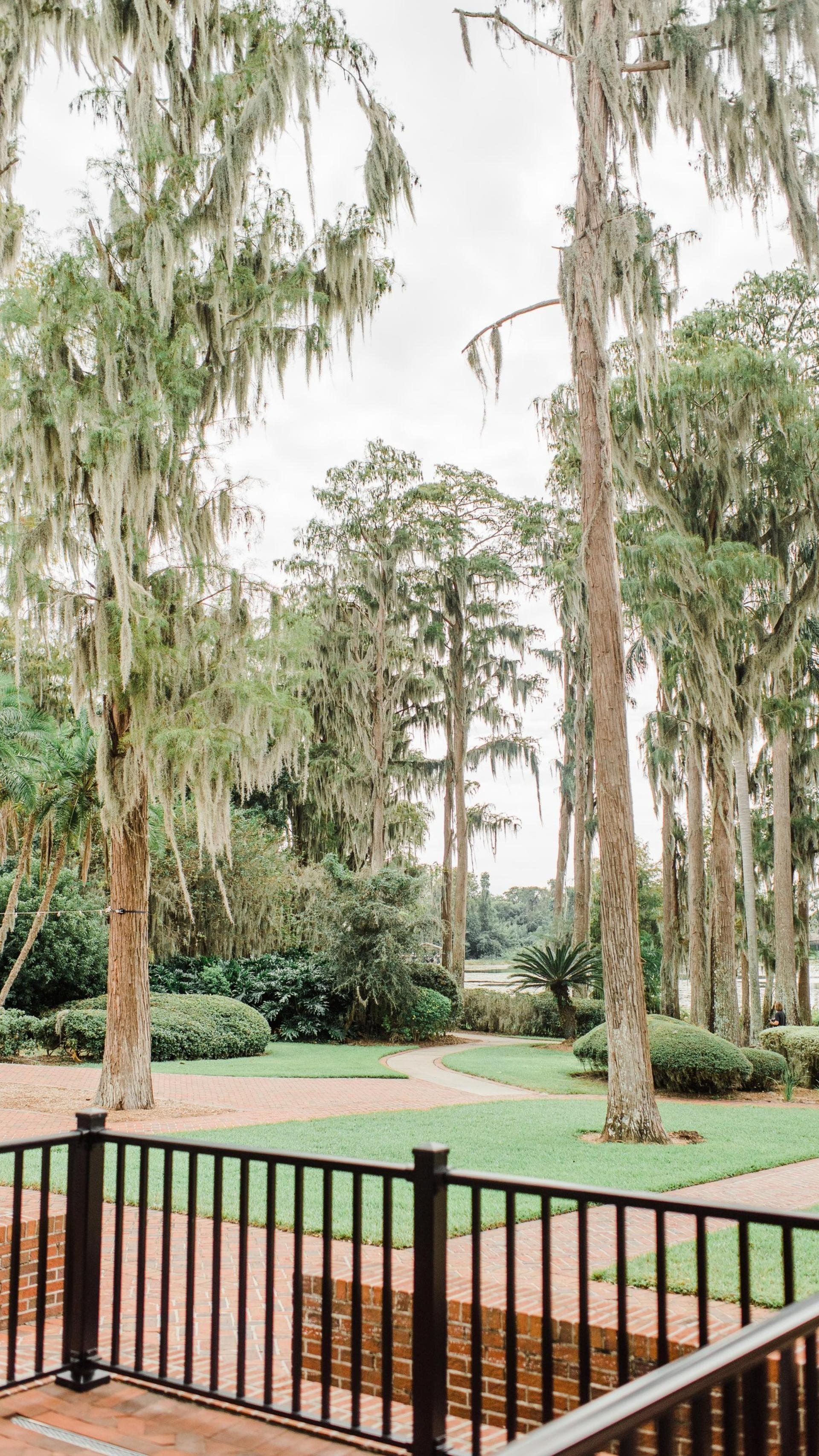 Full Buyout of Cypress Grove Estate House 