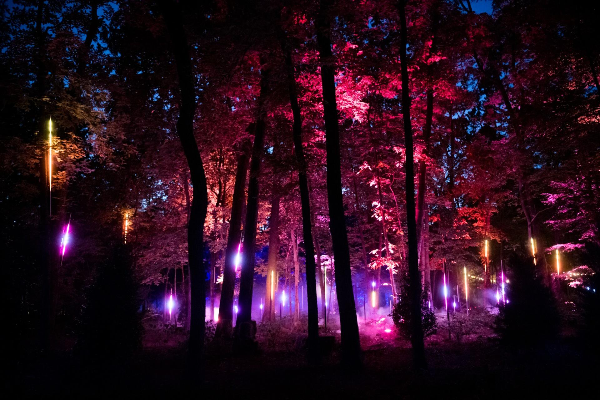 North Forest