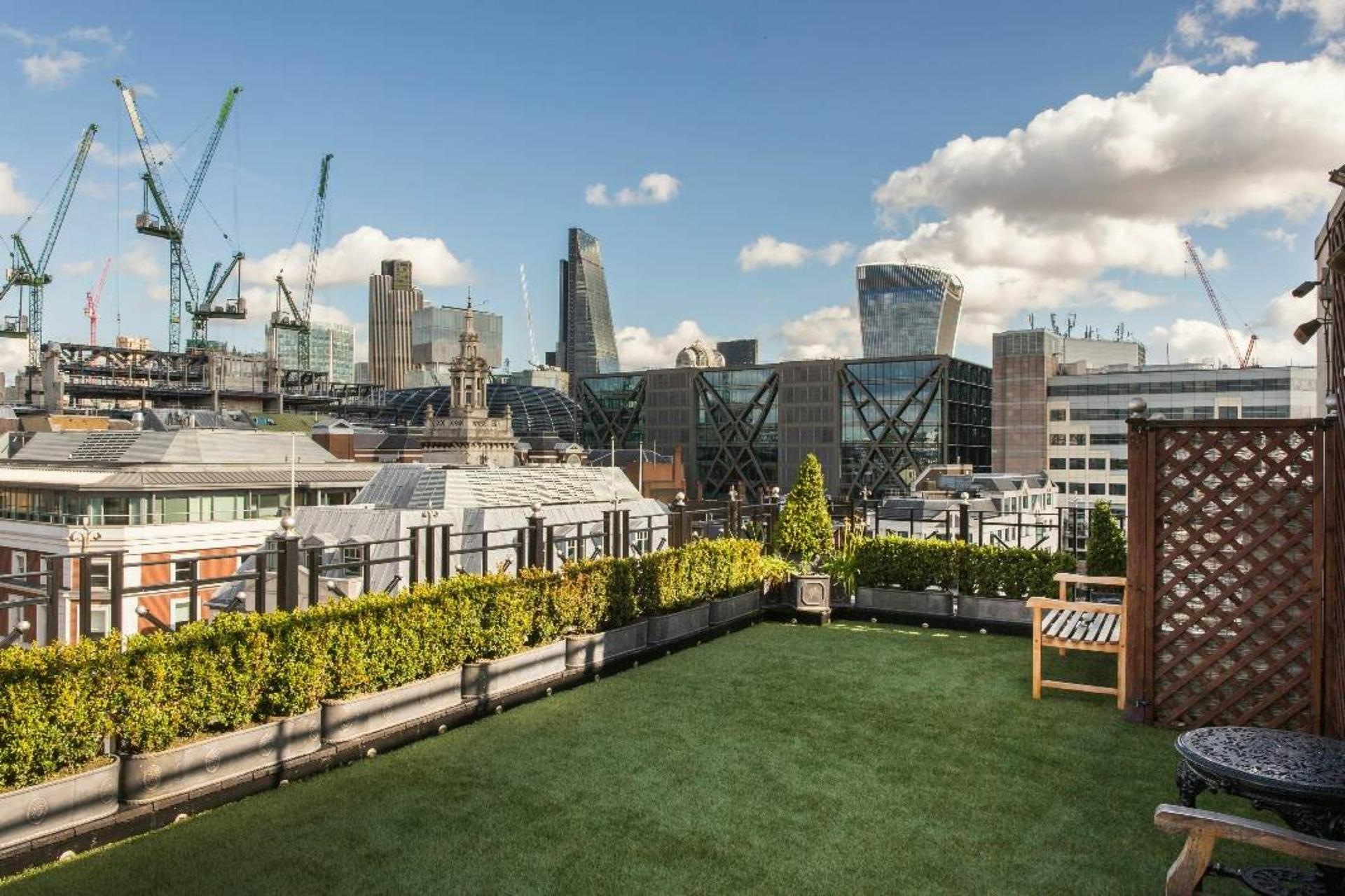 The Roof Garden