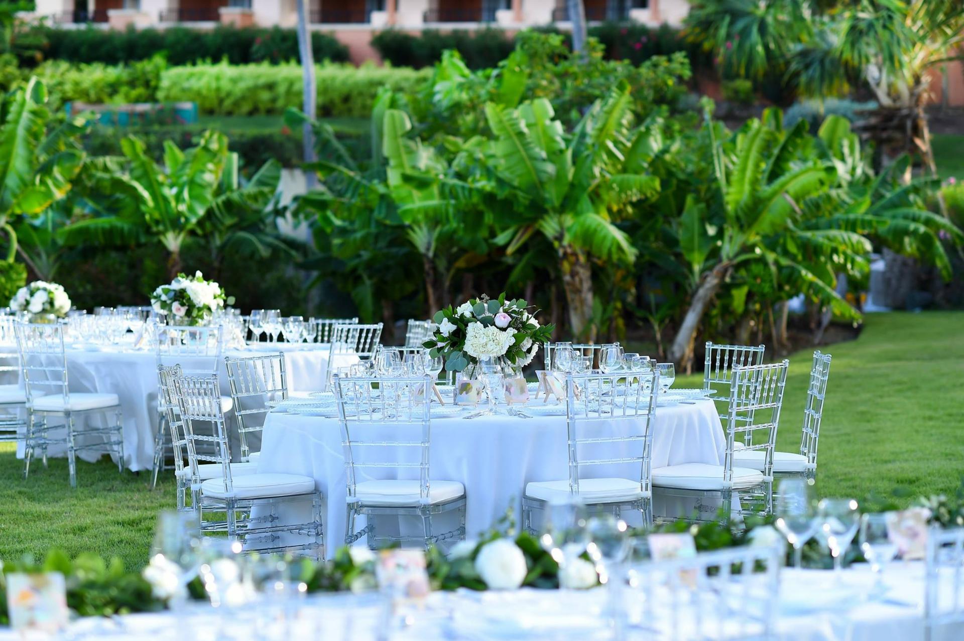 Mangrove Lawn