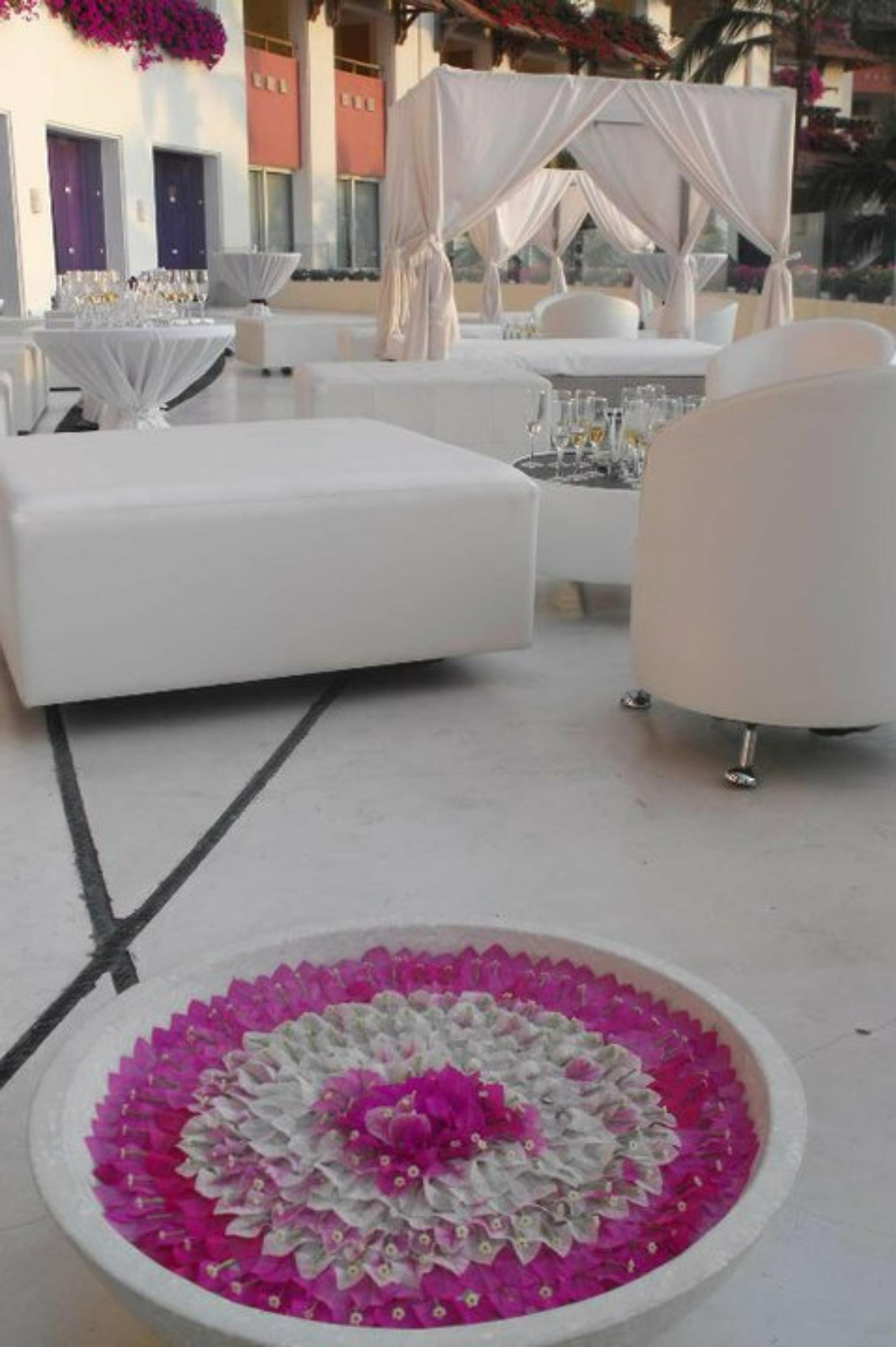 Frida Terrace