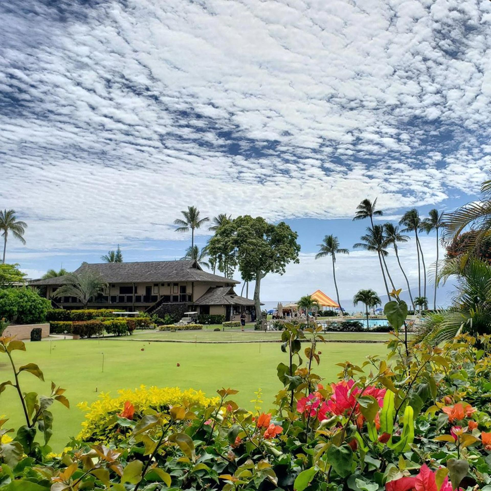 Plumeria Garden