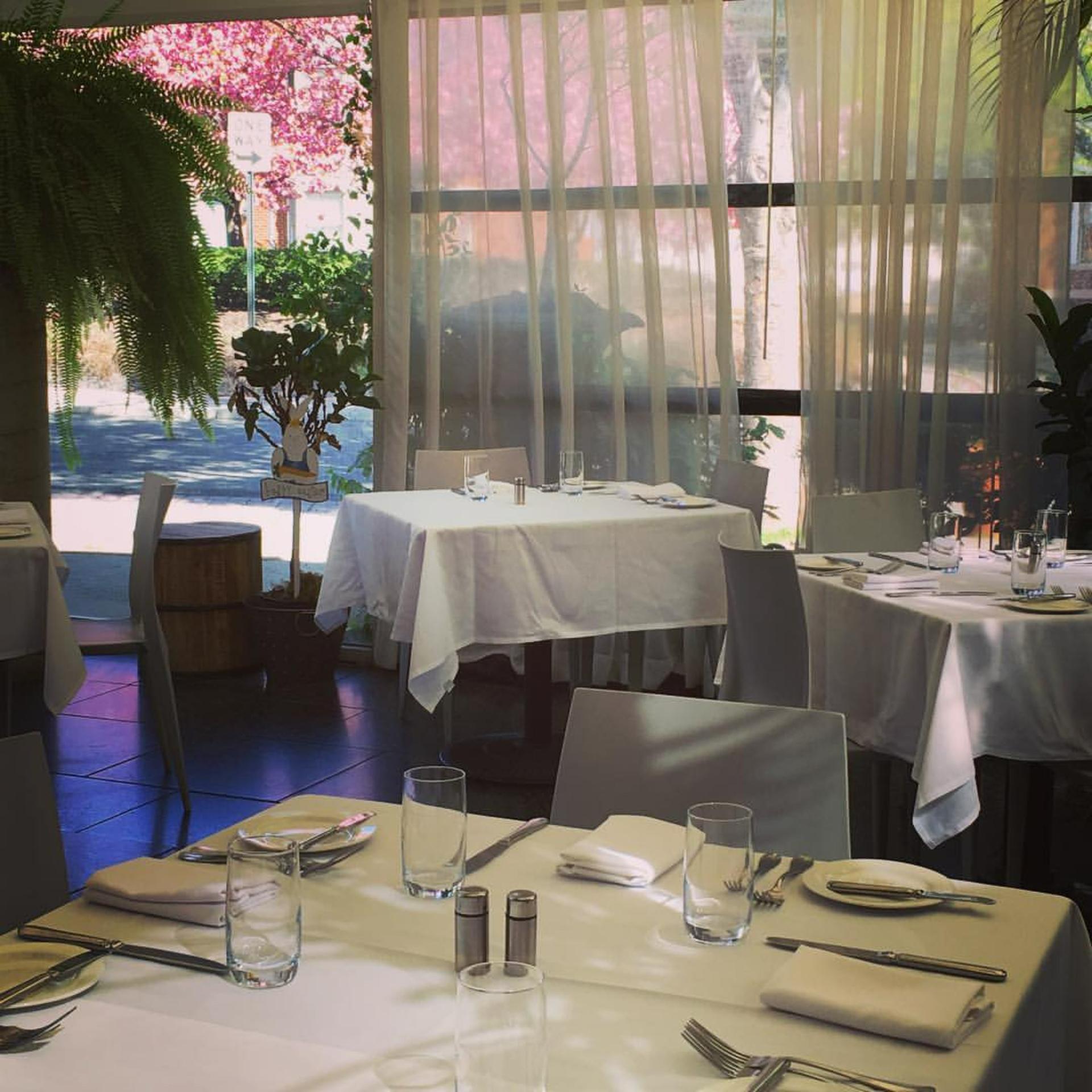The Garden Room