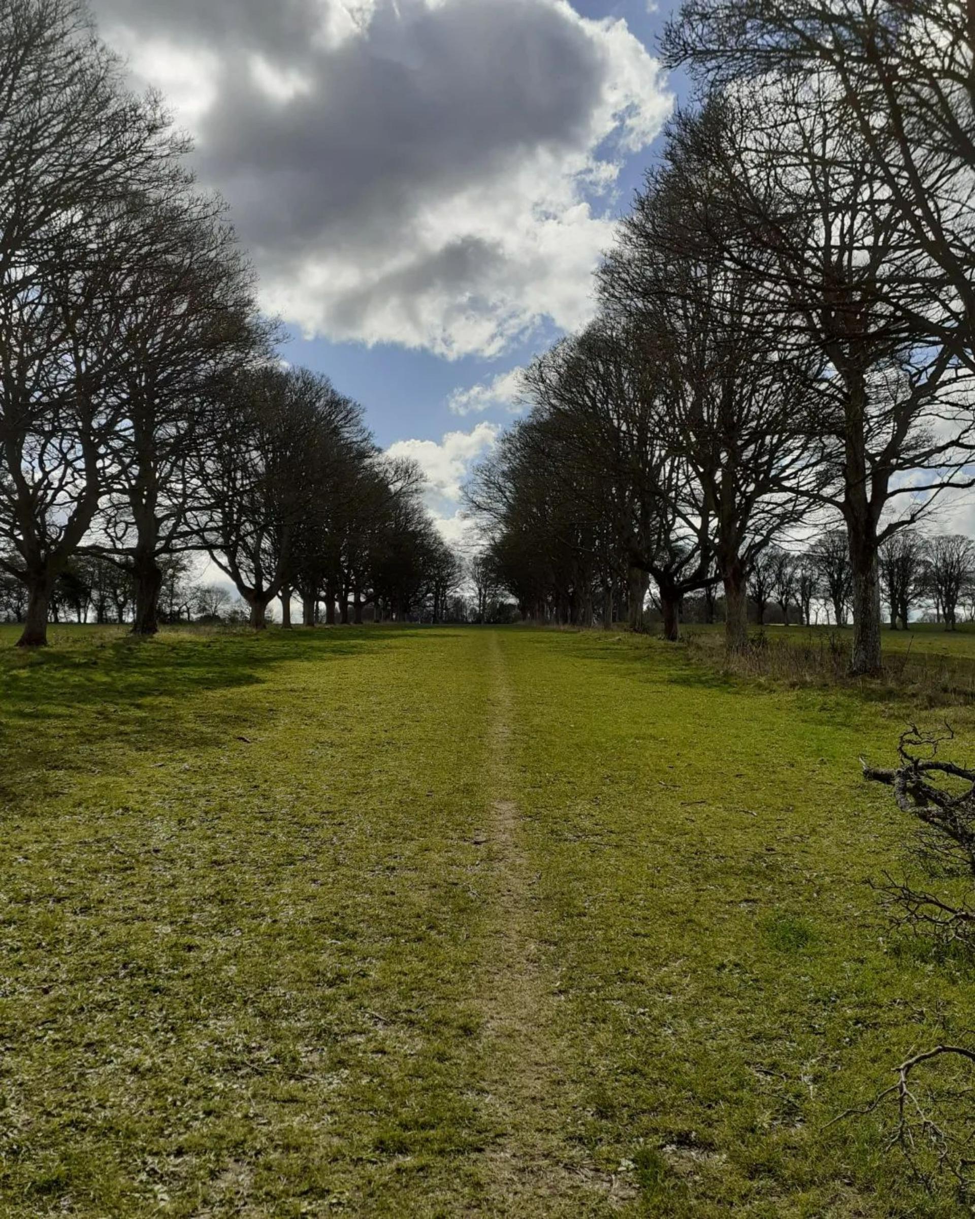 Rangers Lawn