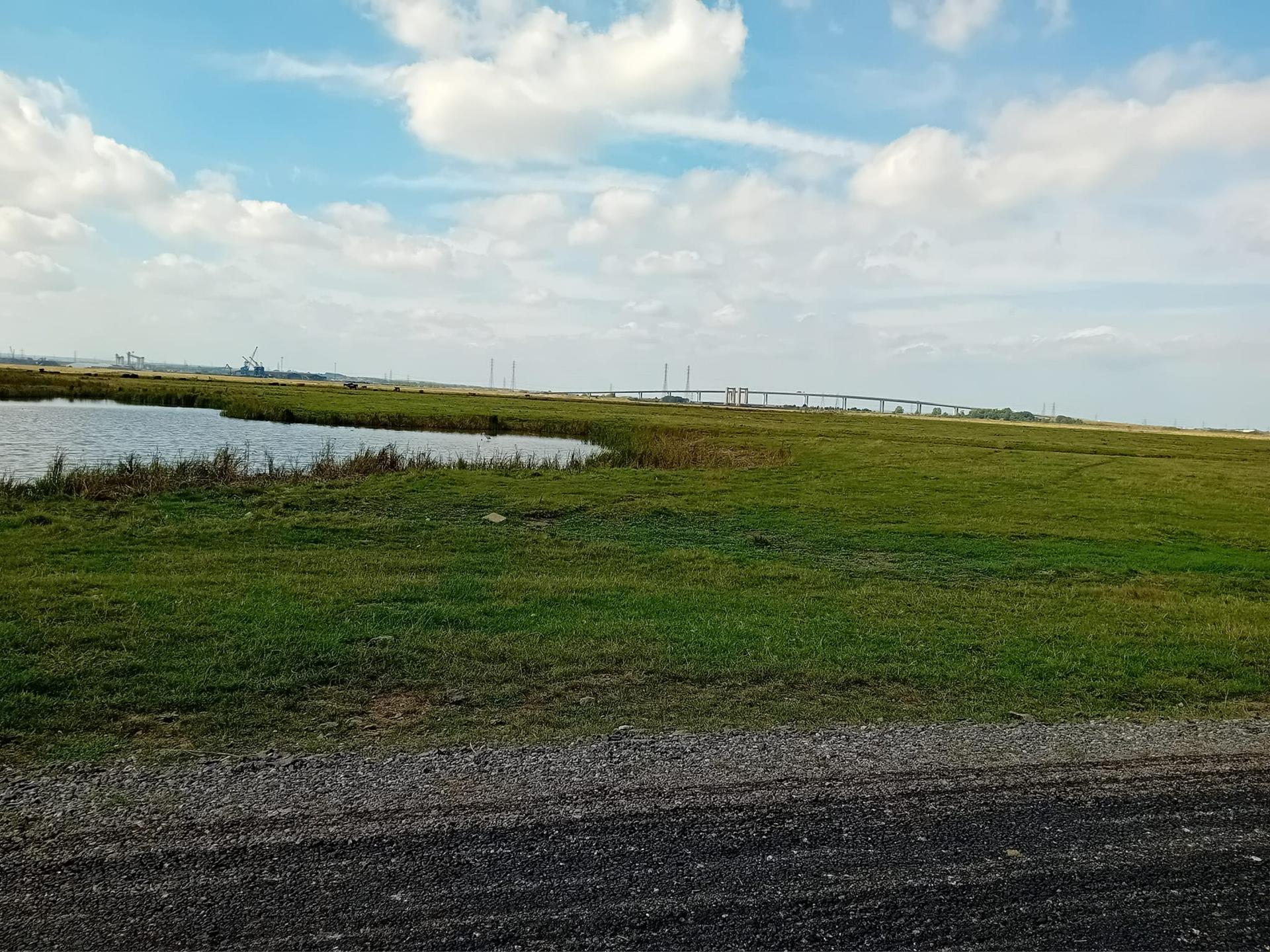 Hayfields