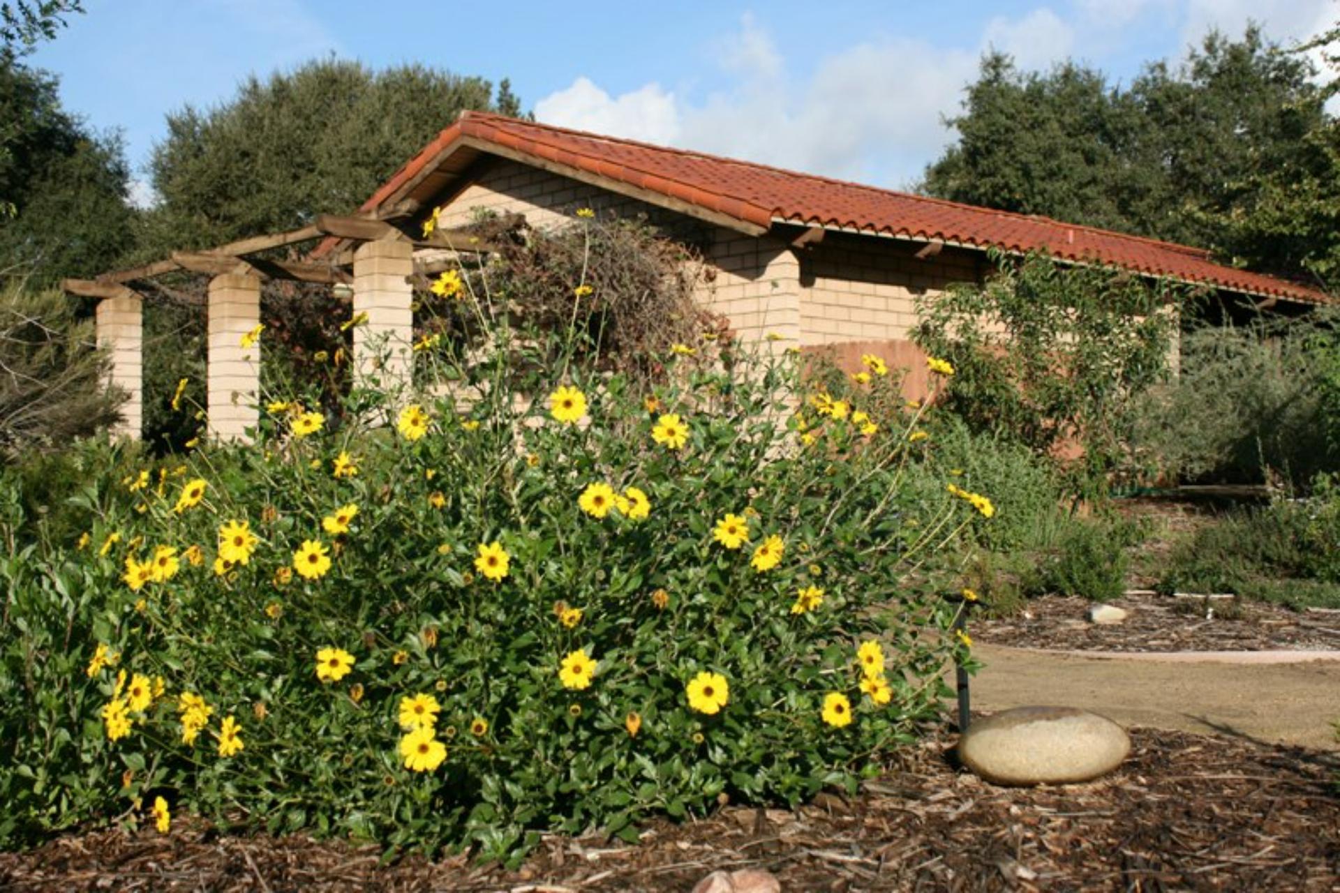 Lantz Outdoor Classroom