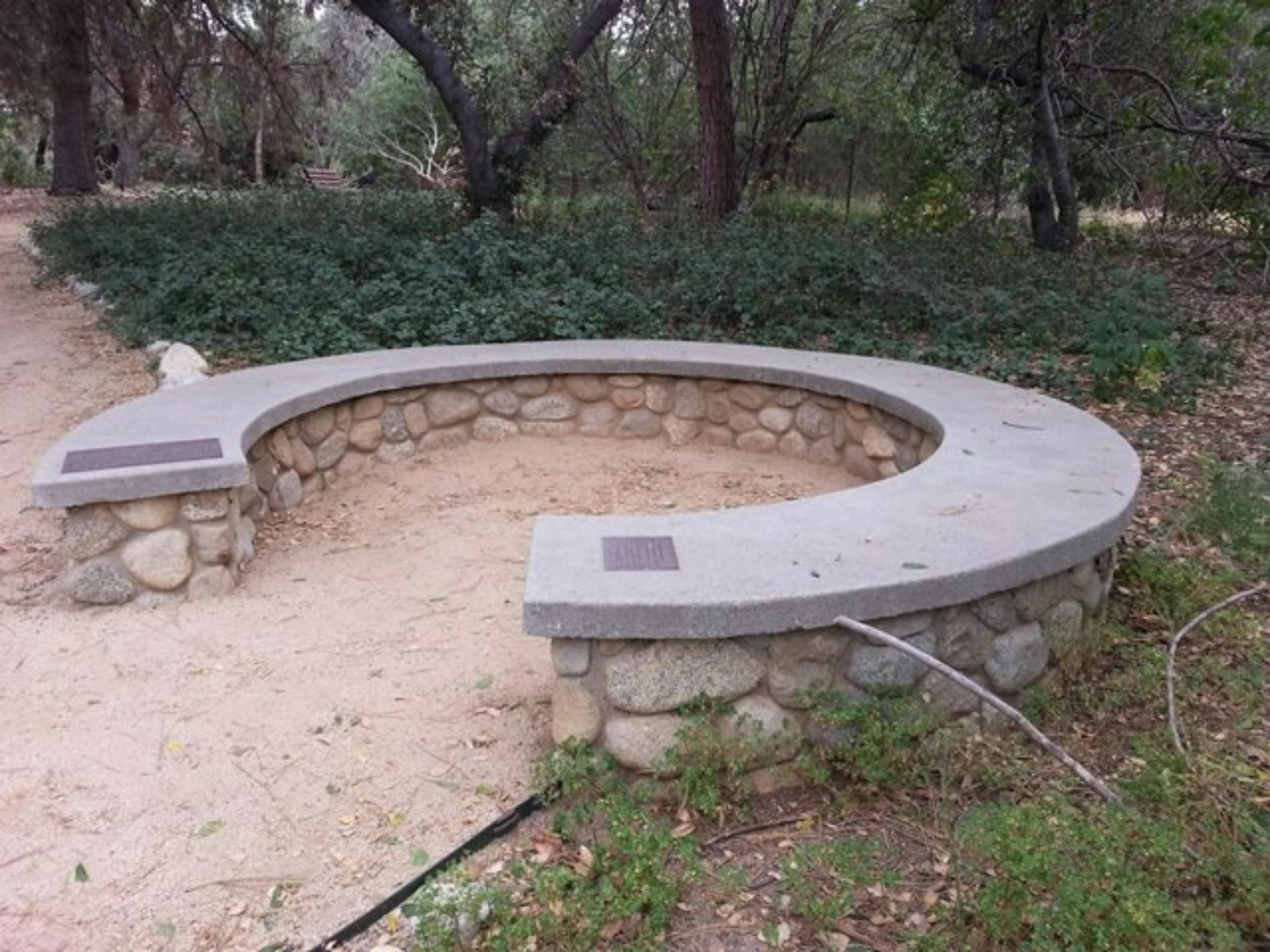 Thorne Council Ring