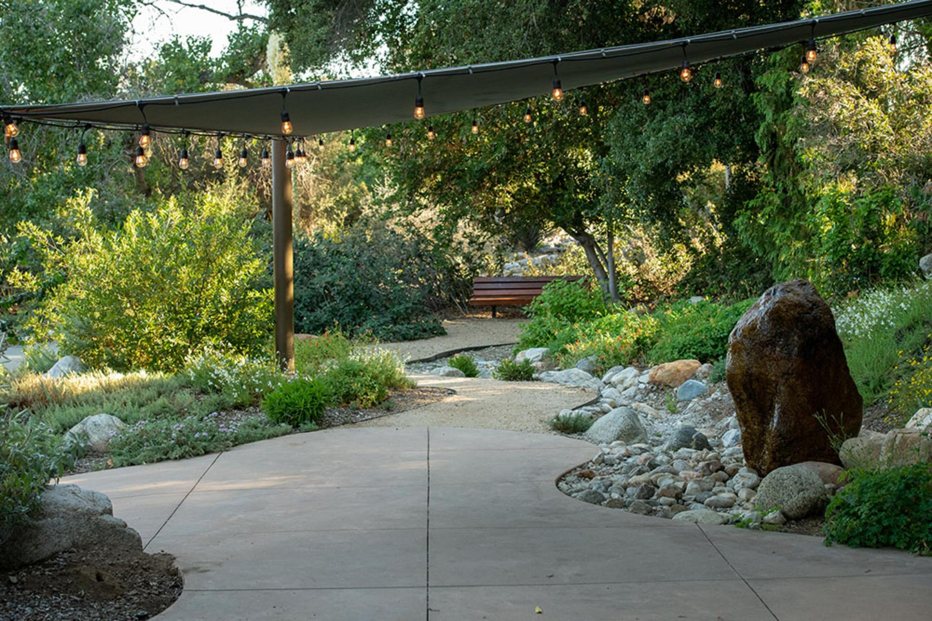 Percy Everett Garden