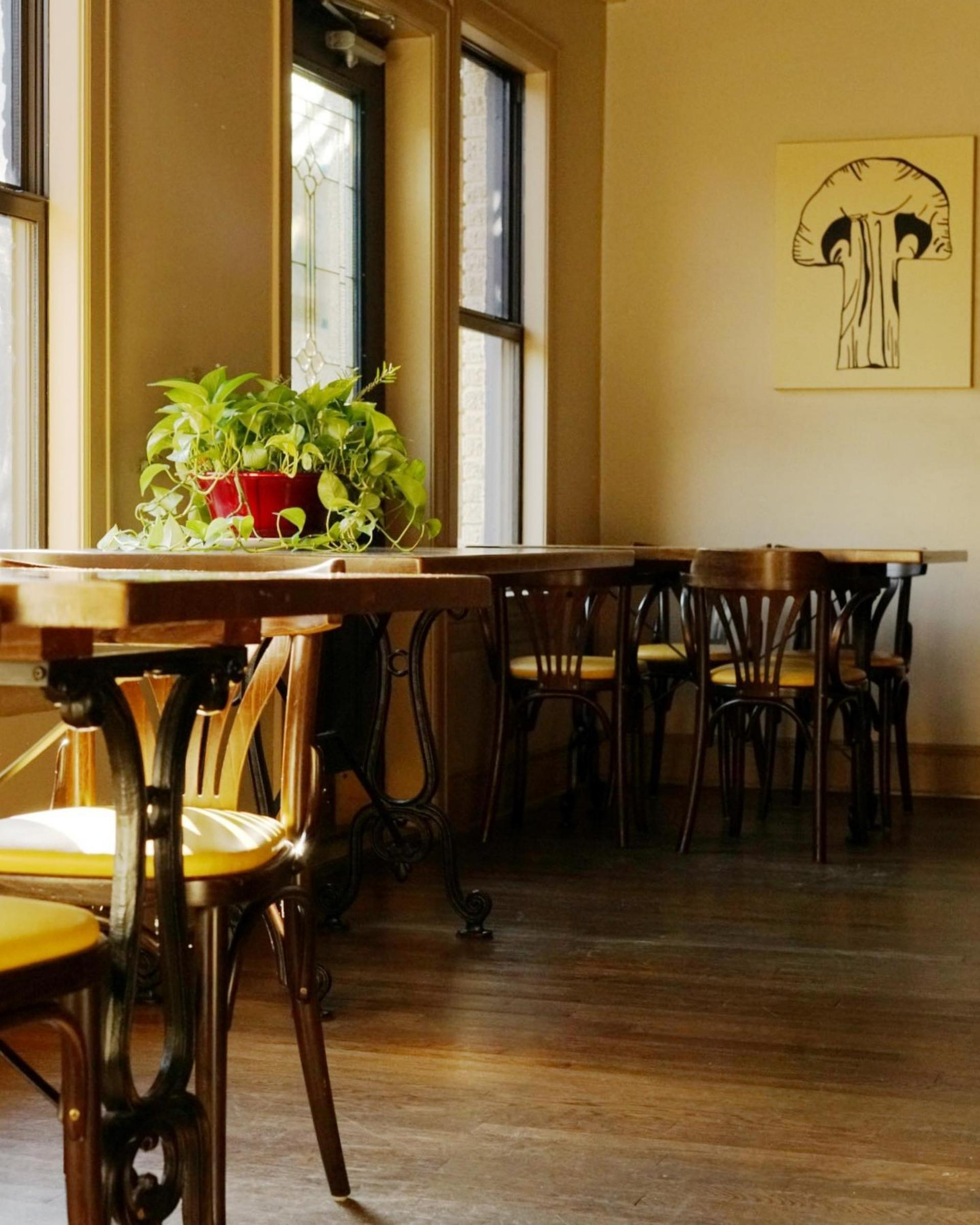 Full Buyout of Nobie's
