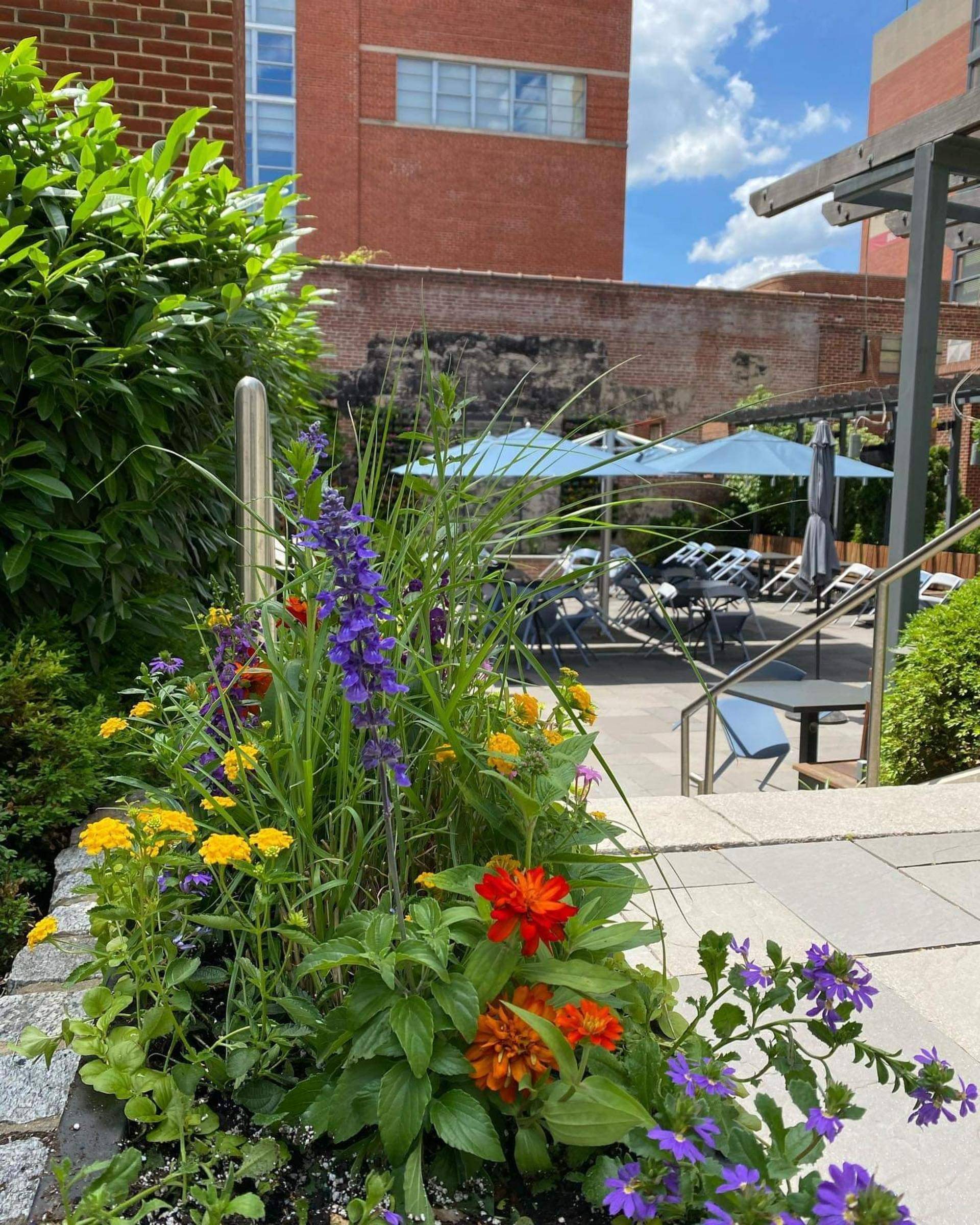 The Patio 