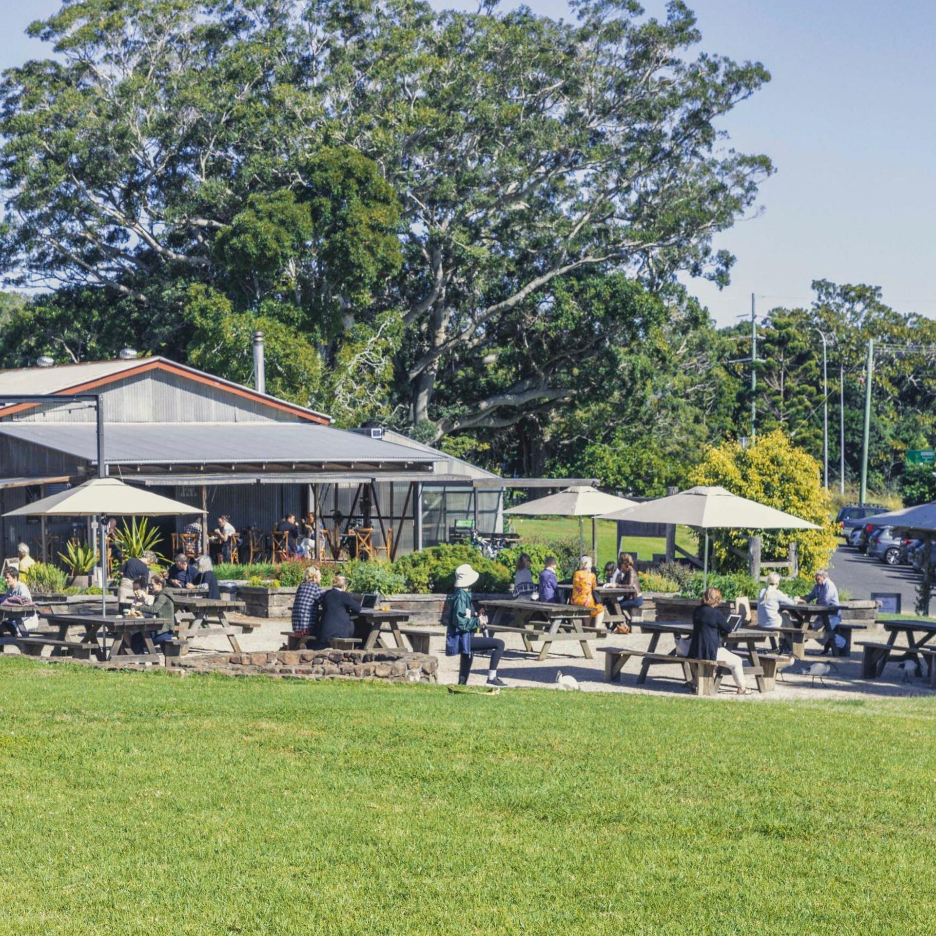 The BBQ Area