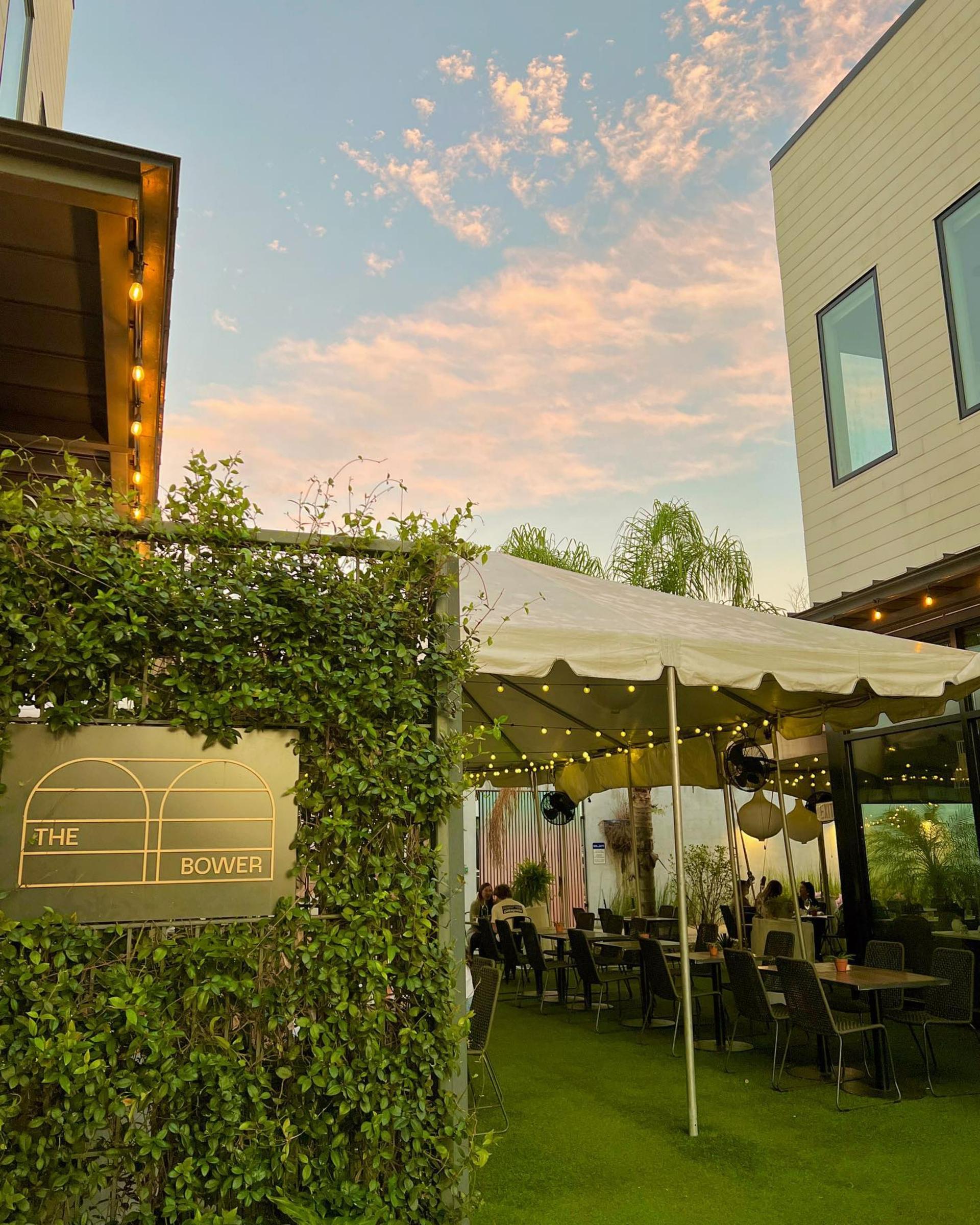 Full Buyout of The Bower