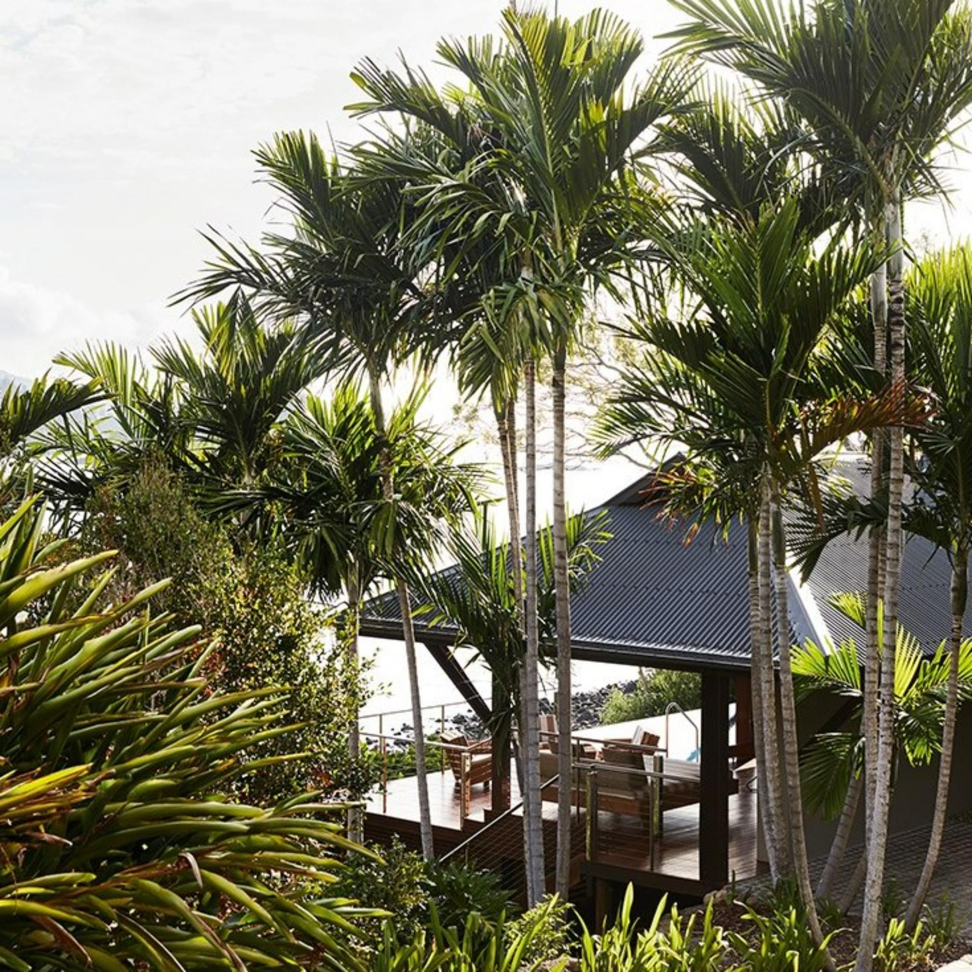 Beach House