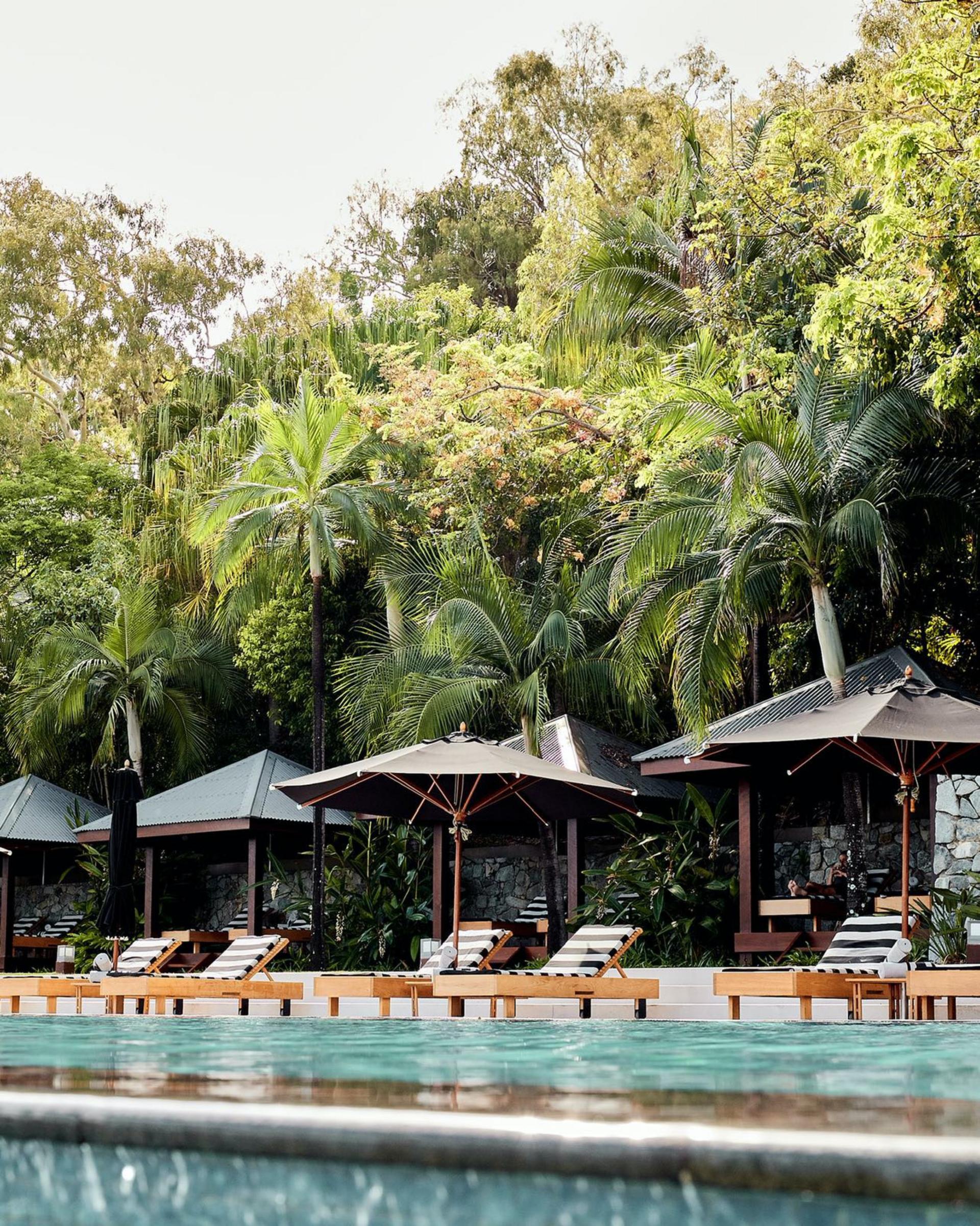 Full Buyout of qualia