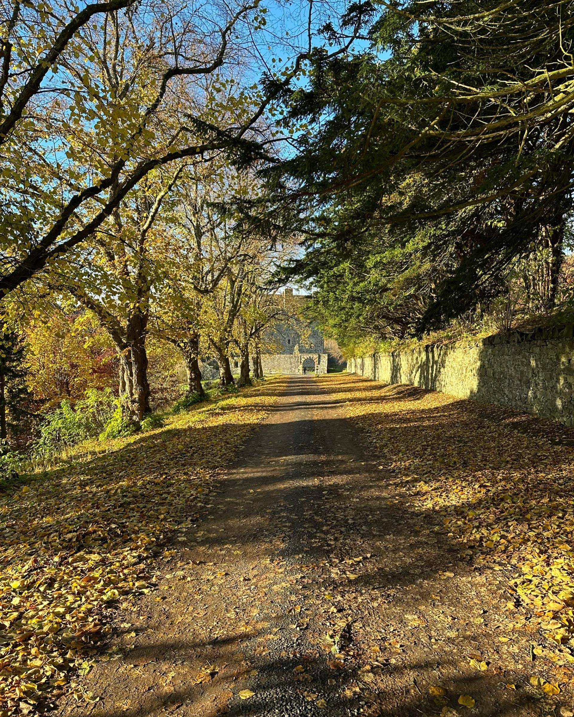 Full Buyout of Neidpath Castle