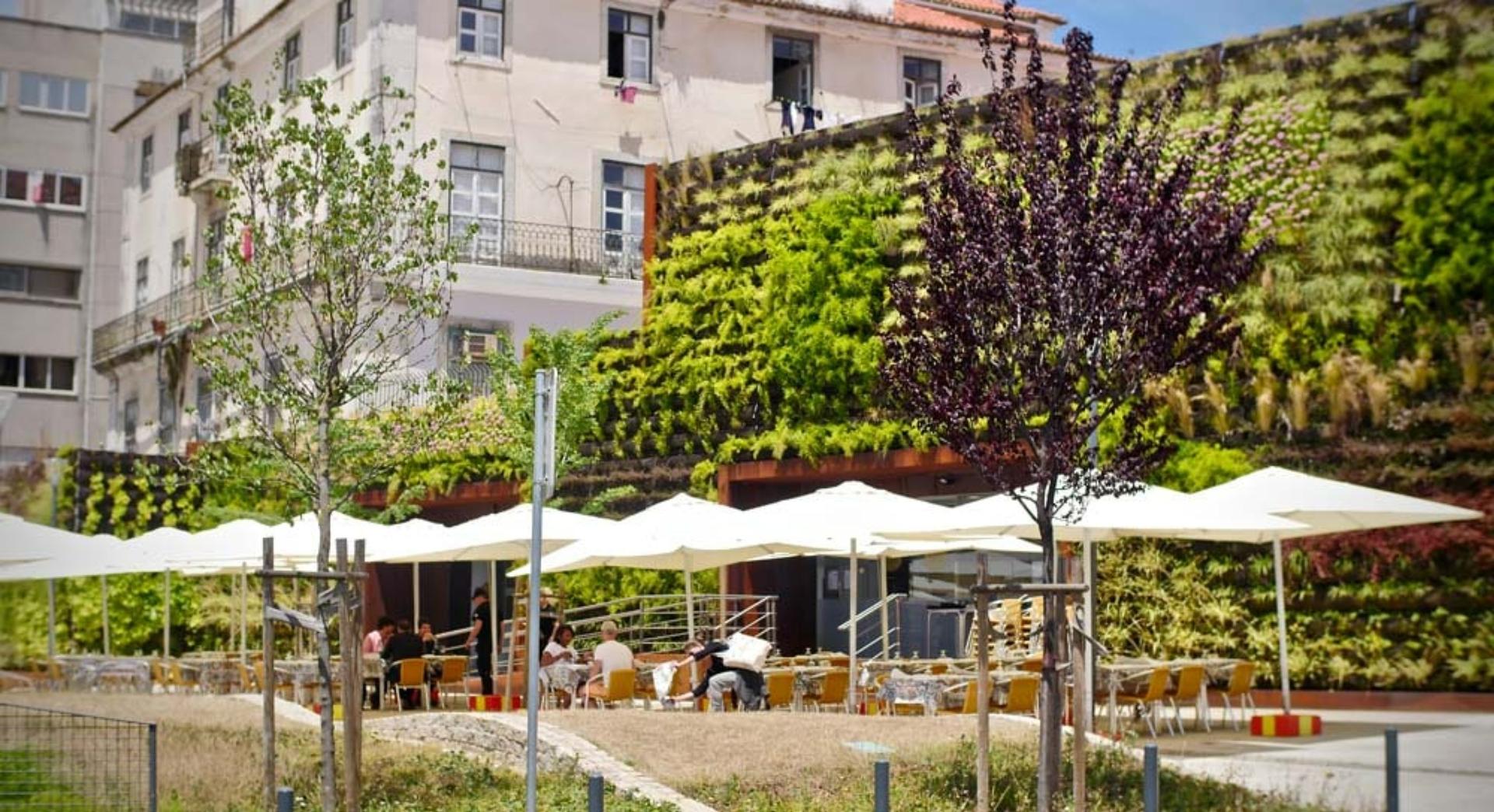 Full Buyout of A Valenciana