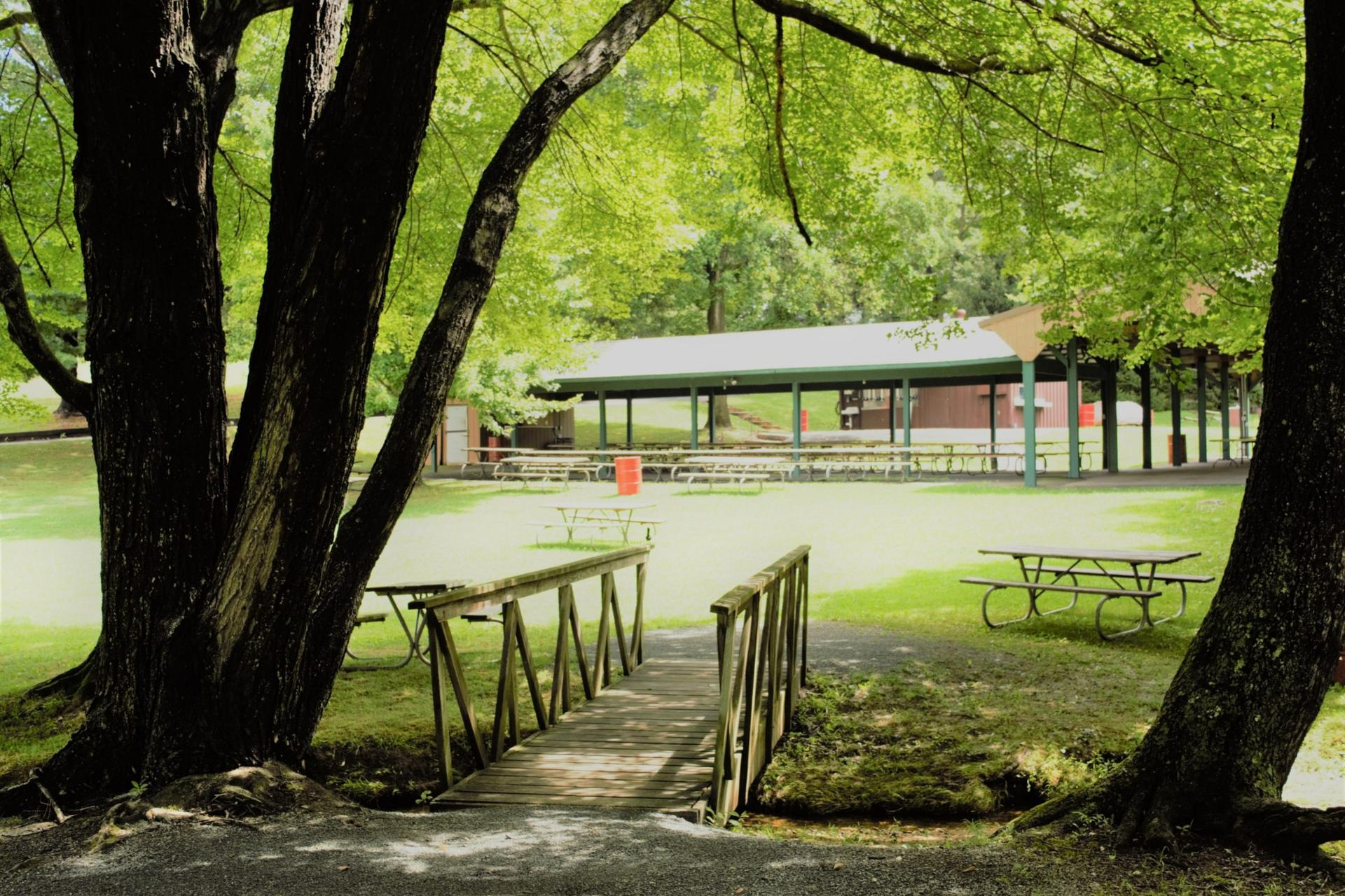 Meadow Area