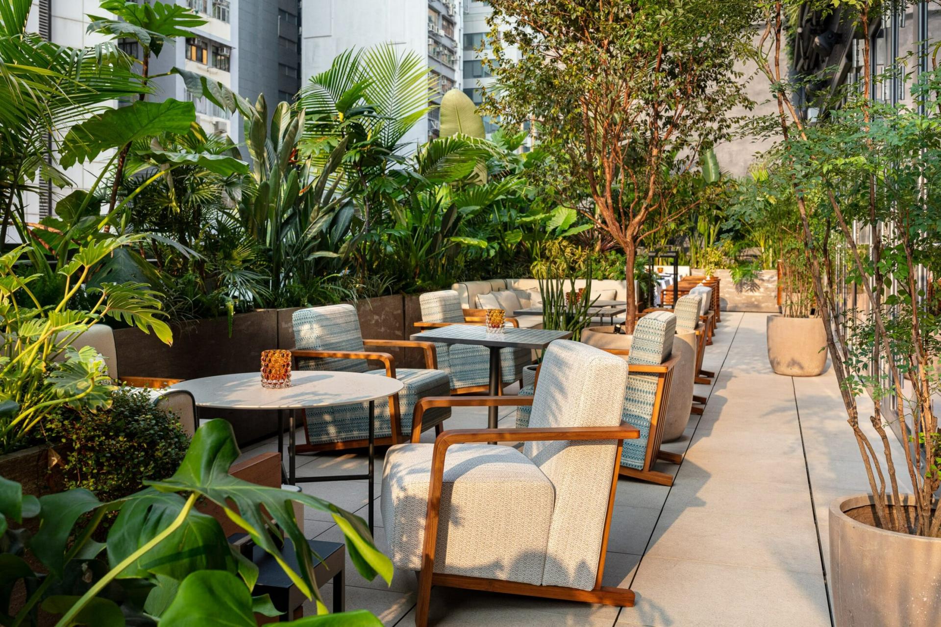 The Terrace