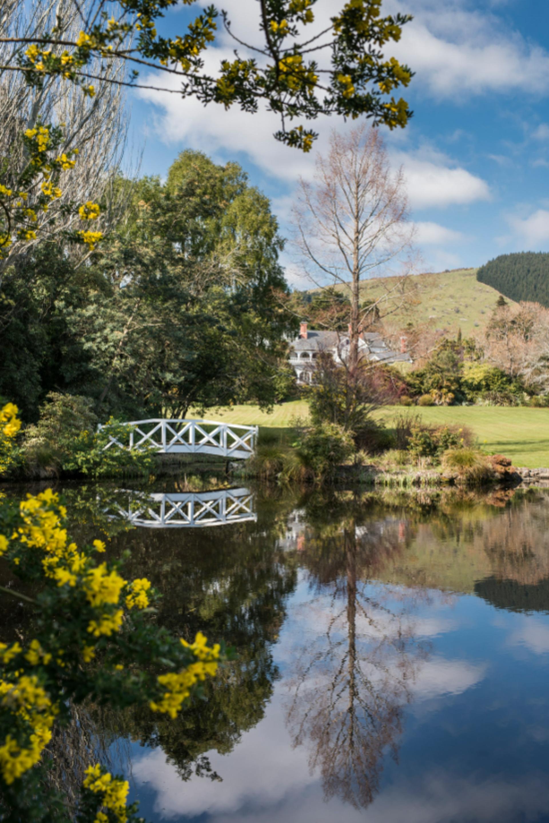 Lawn & Lake