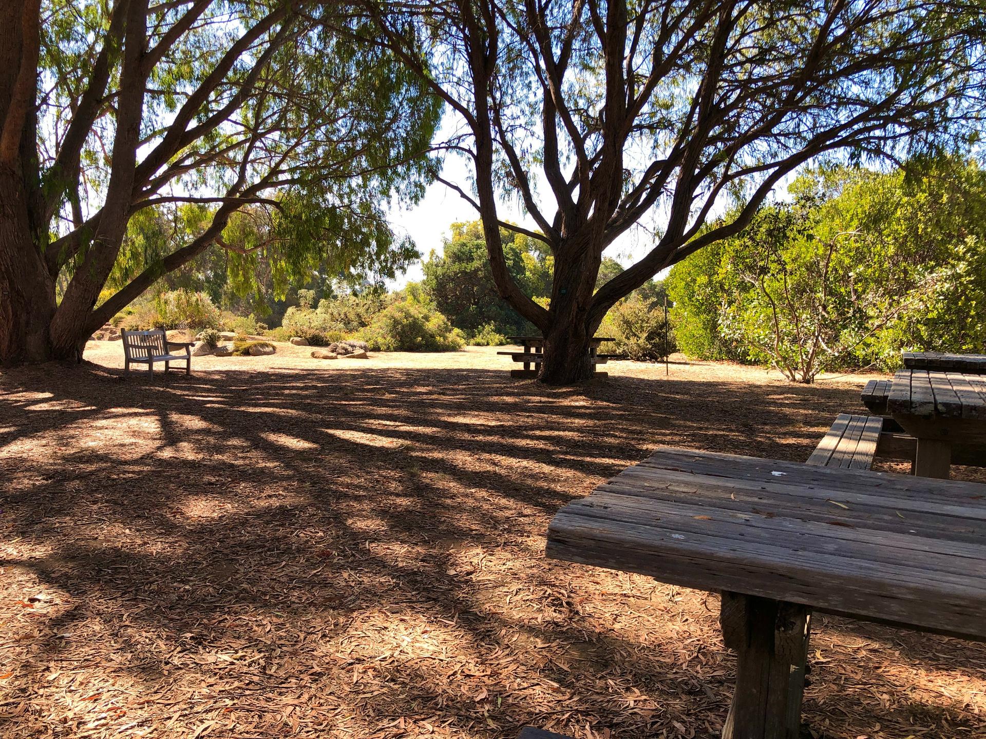  Australian Picnic Area & Hort 2 Meeting Hall