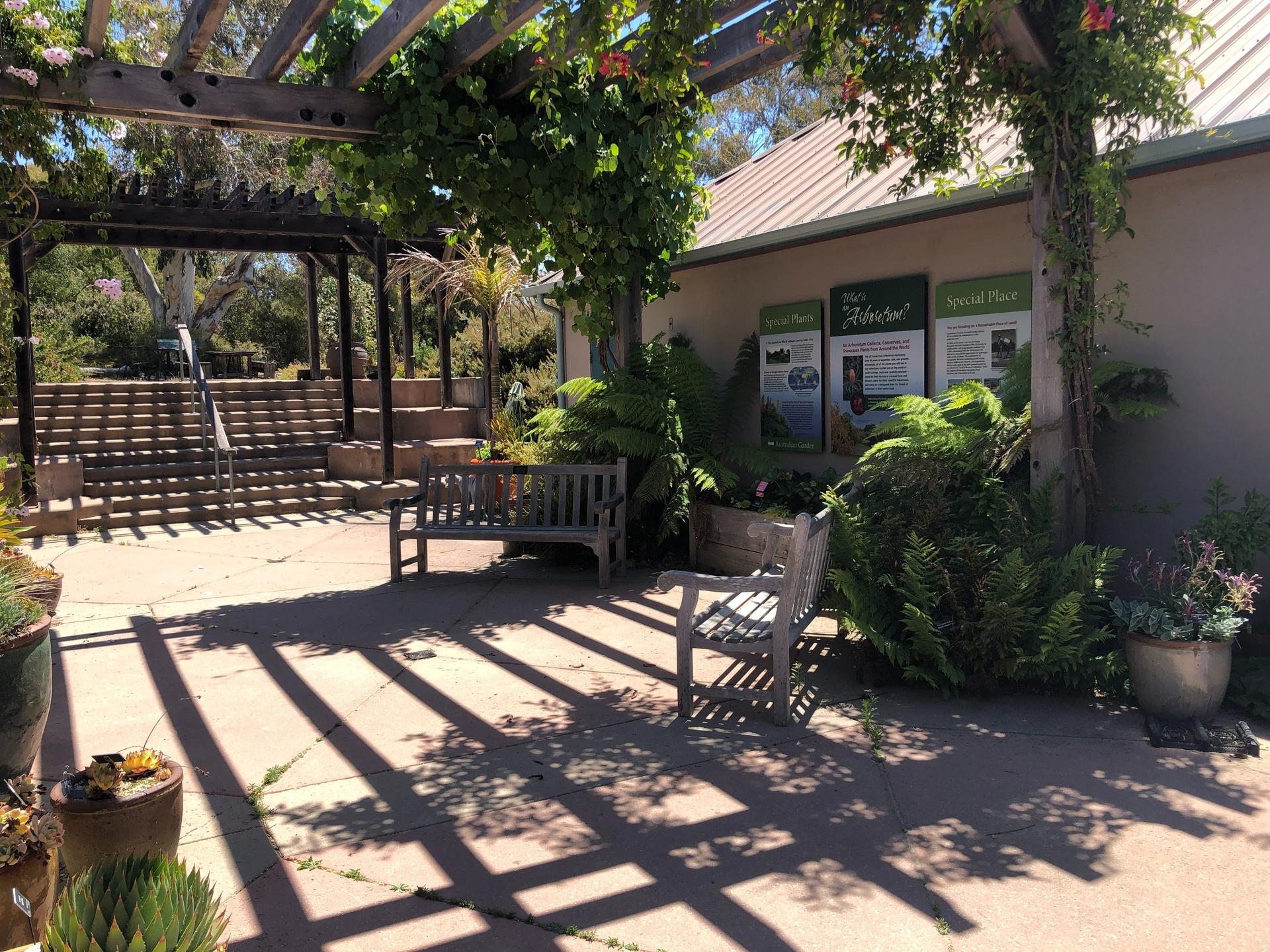 Hort 2 Patio