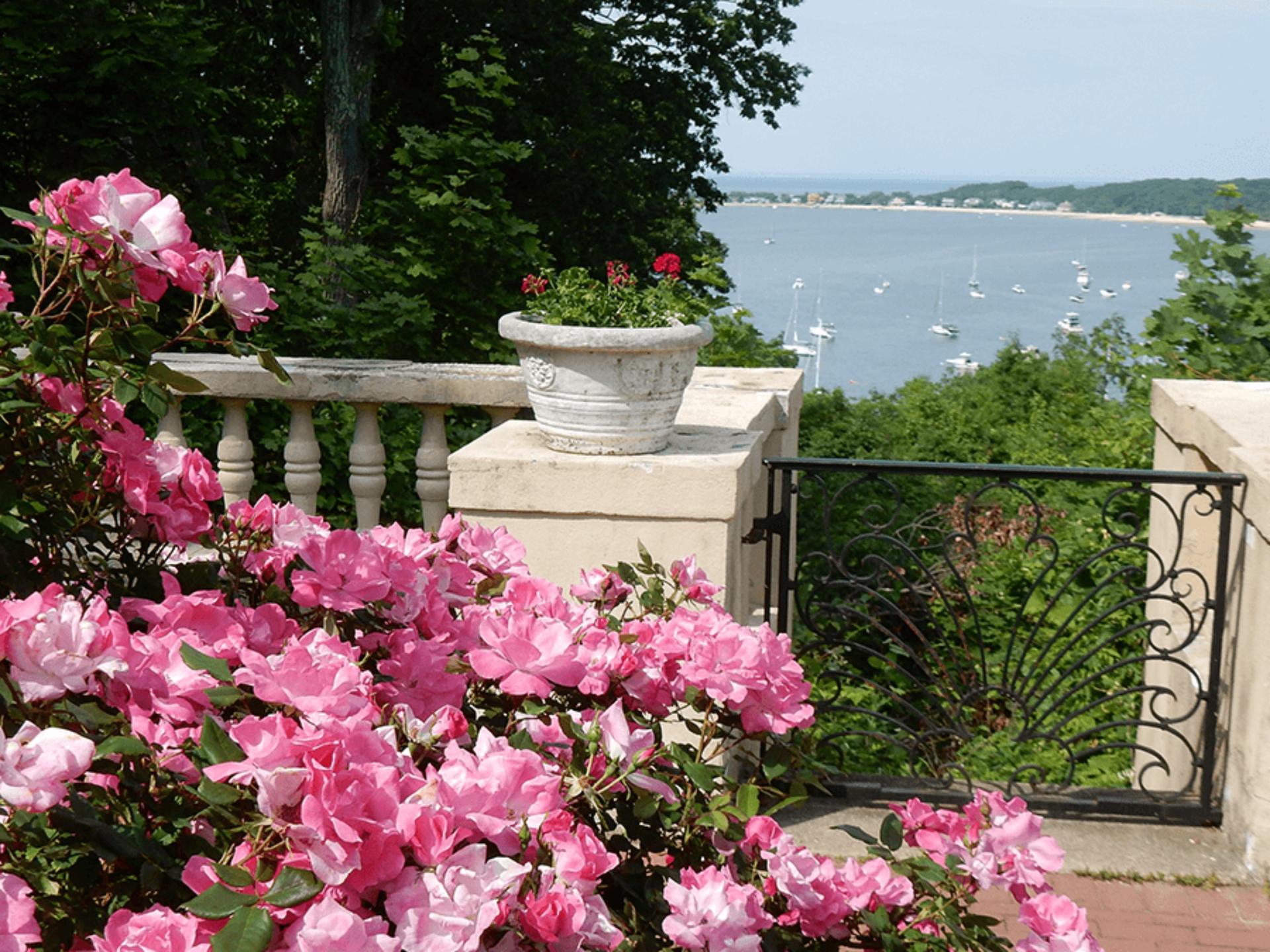 The Rose Garden